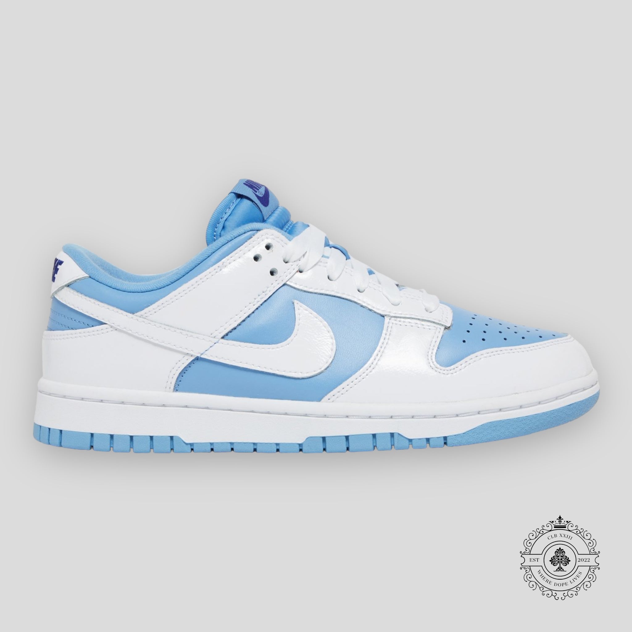 Nike Dunk Low W Reverse UNC