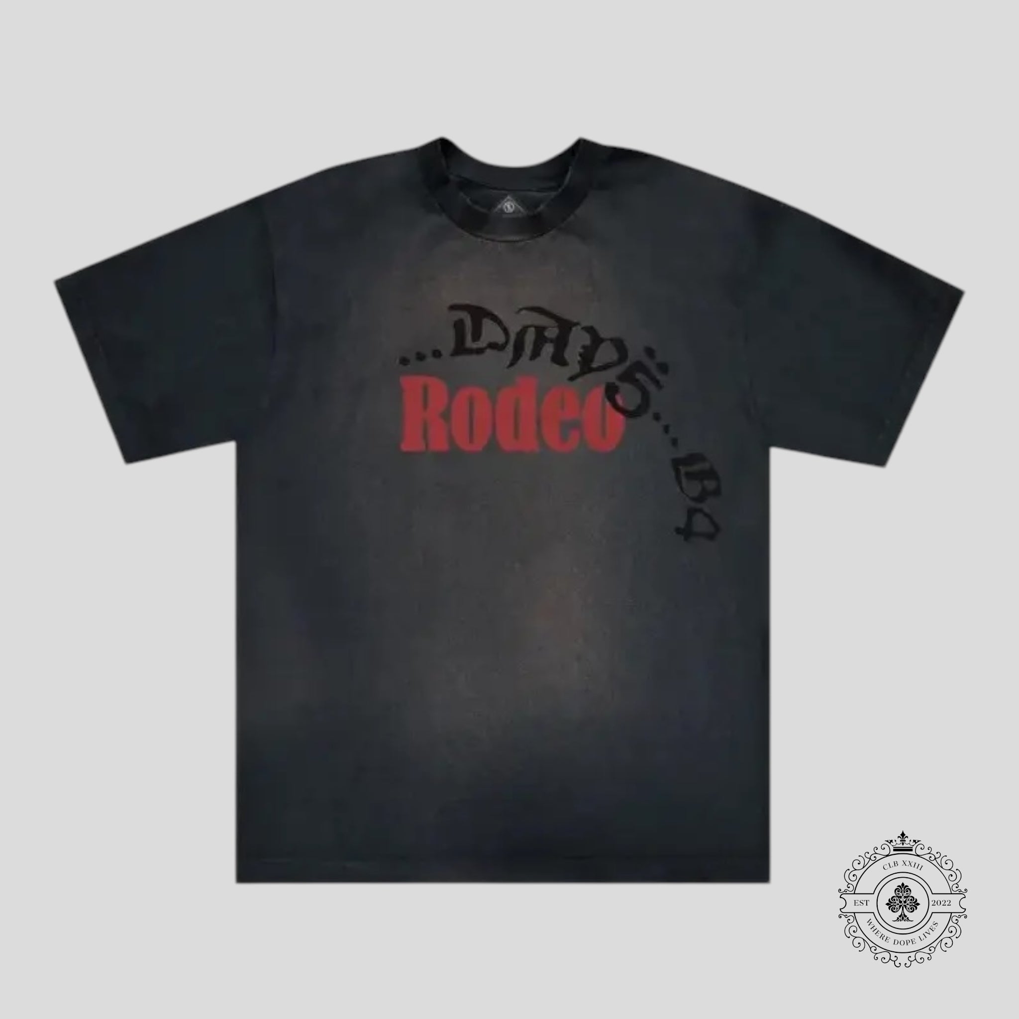 Travis Scott Cactus Jack x Sp5der Days Before Rodeo Tee