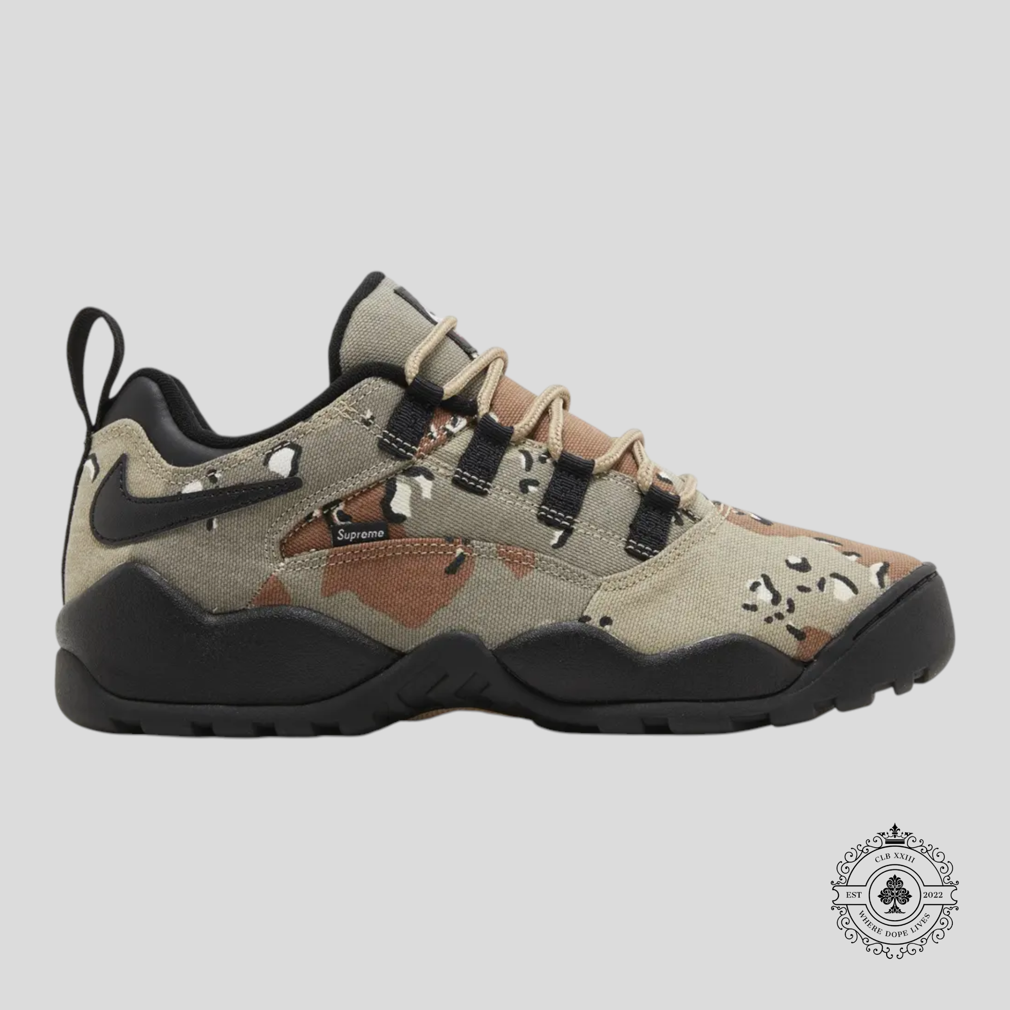 Nike SB Darwin Low Supreme Desert Camo
