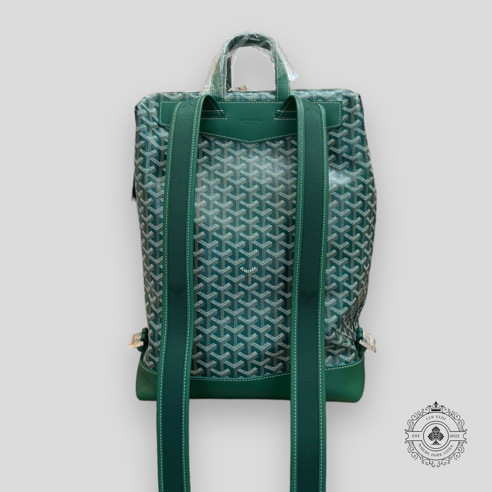 Goyard Cisalpin MM Backpack in Green