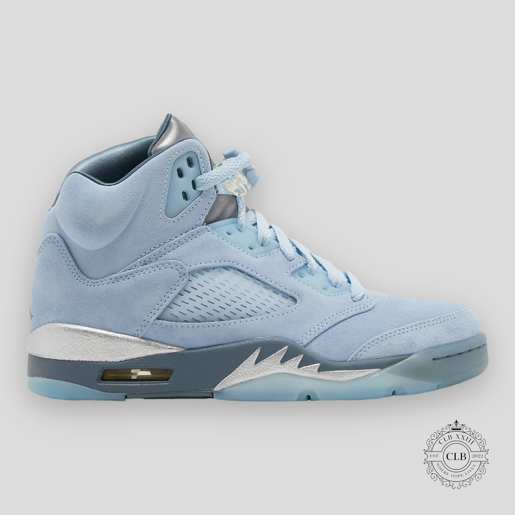 AIR JORDAN 5 RETRO (W) "BLUE BIRD"
