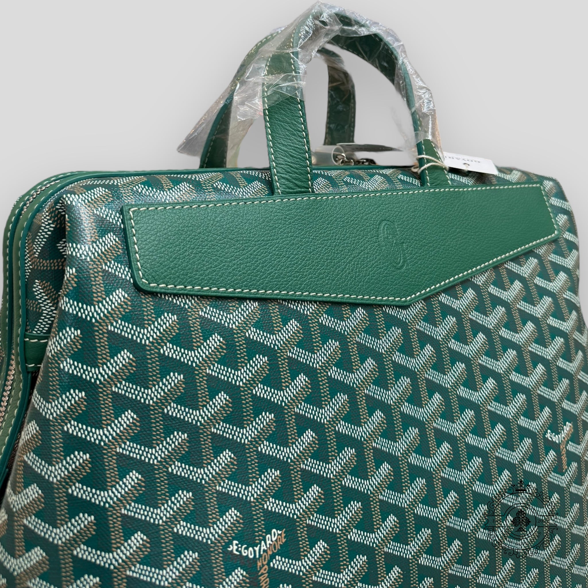 Goyard Cisalpin MM Backpack in Green