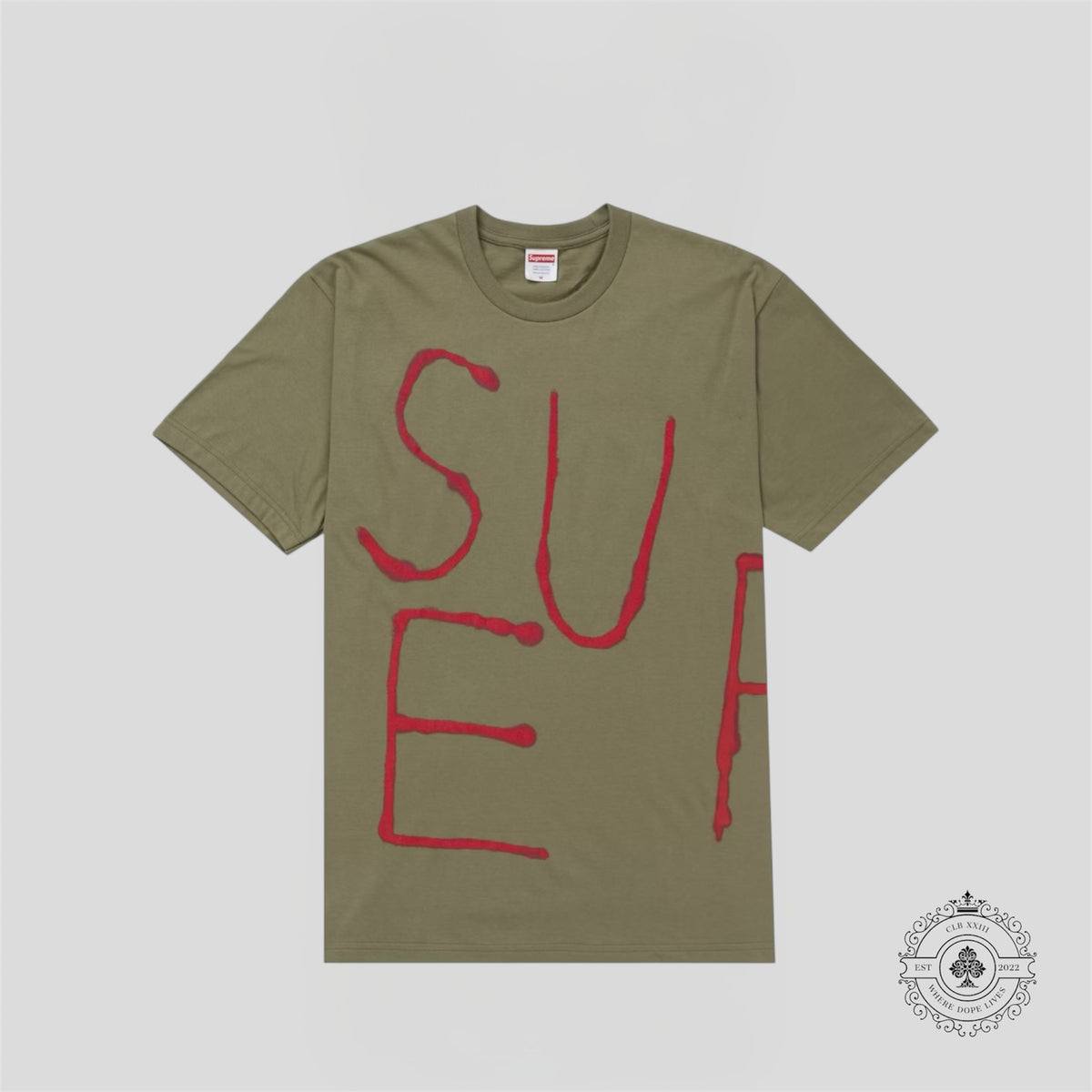 Supreme Painted T-Shirt in Olive Green