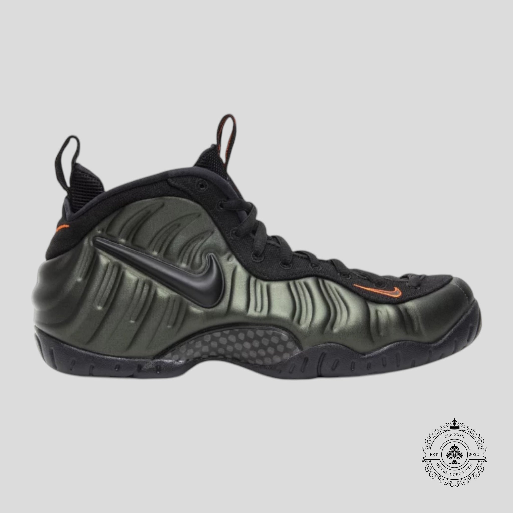 Nike Air Foamposite Pro Sequoia