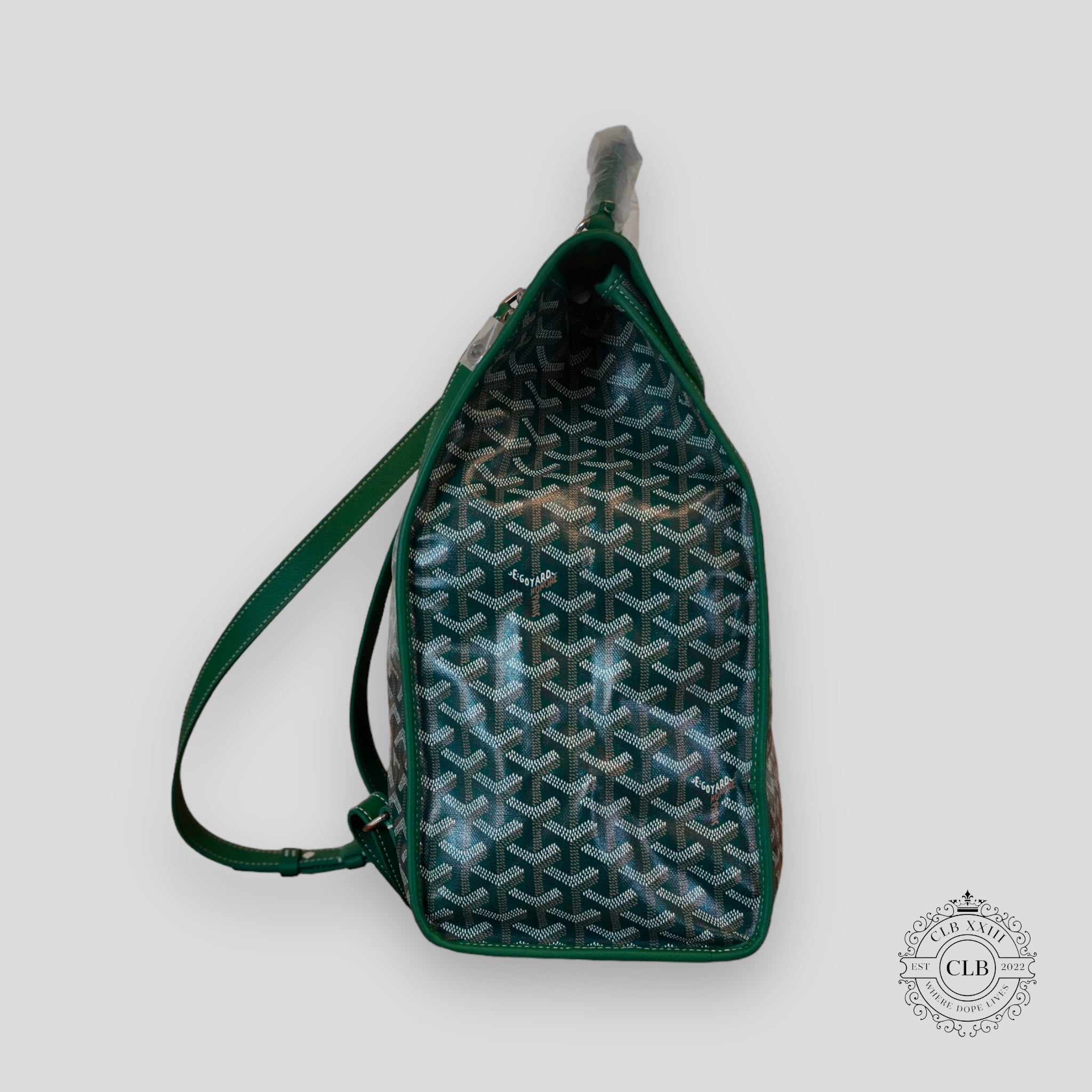 GOYARD SAINT LEGAR BACKPACK - GREEN