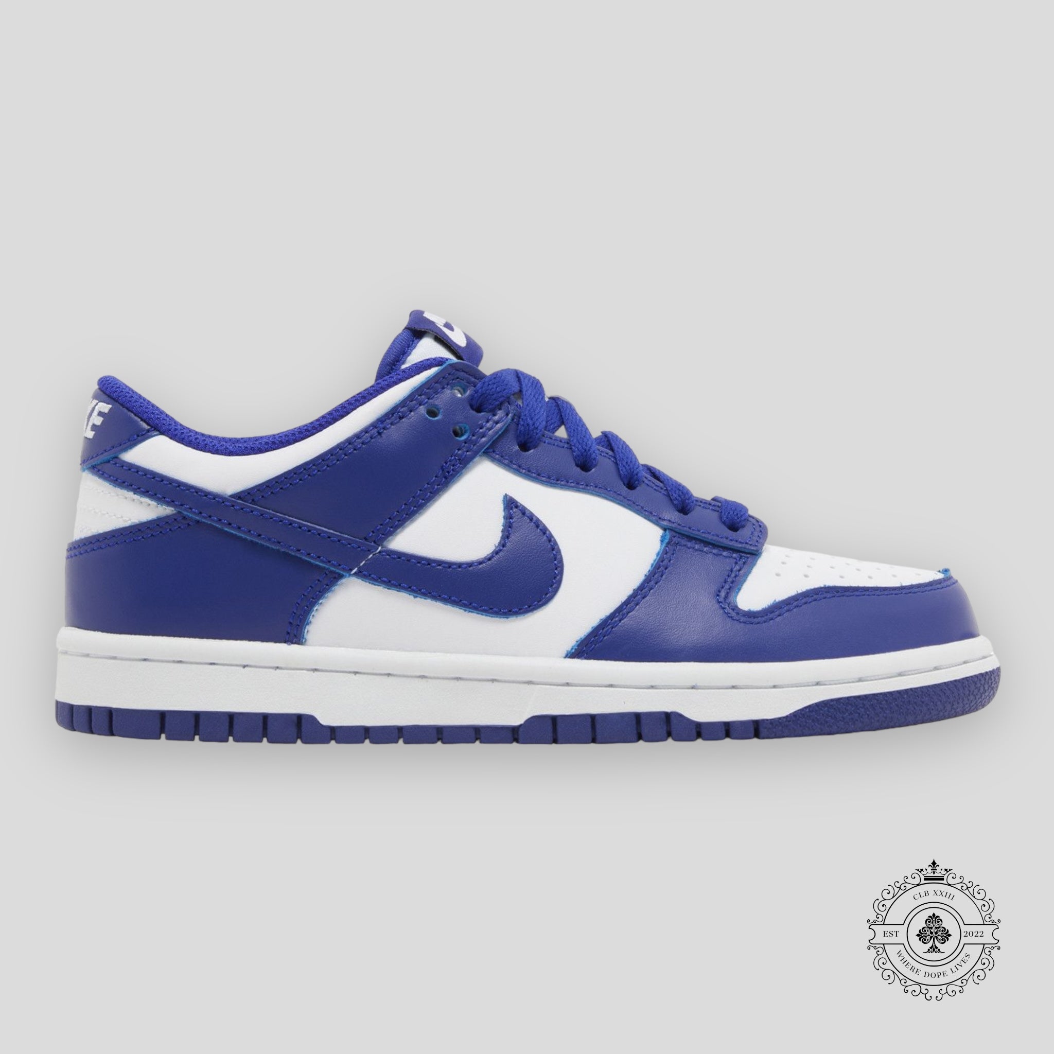 Nike Dunk Low Concord (GS)