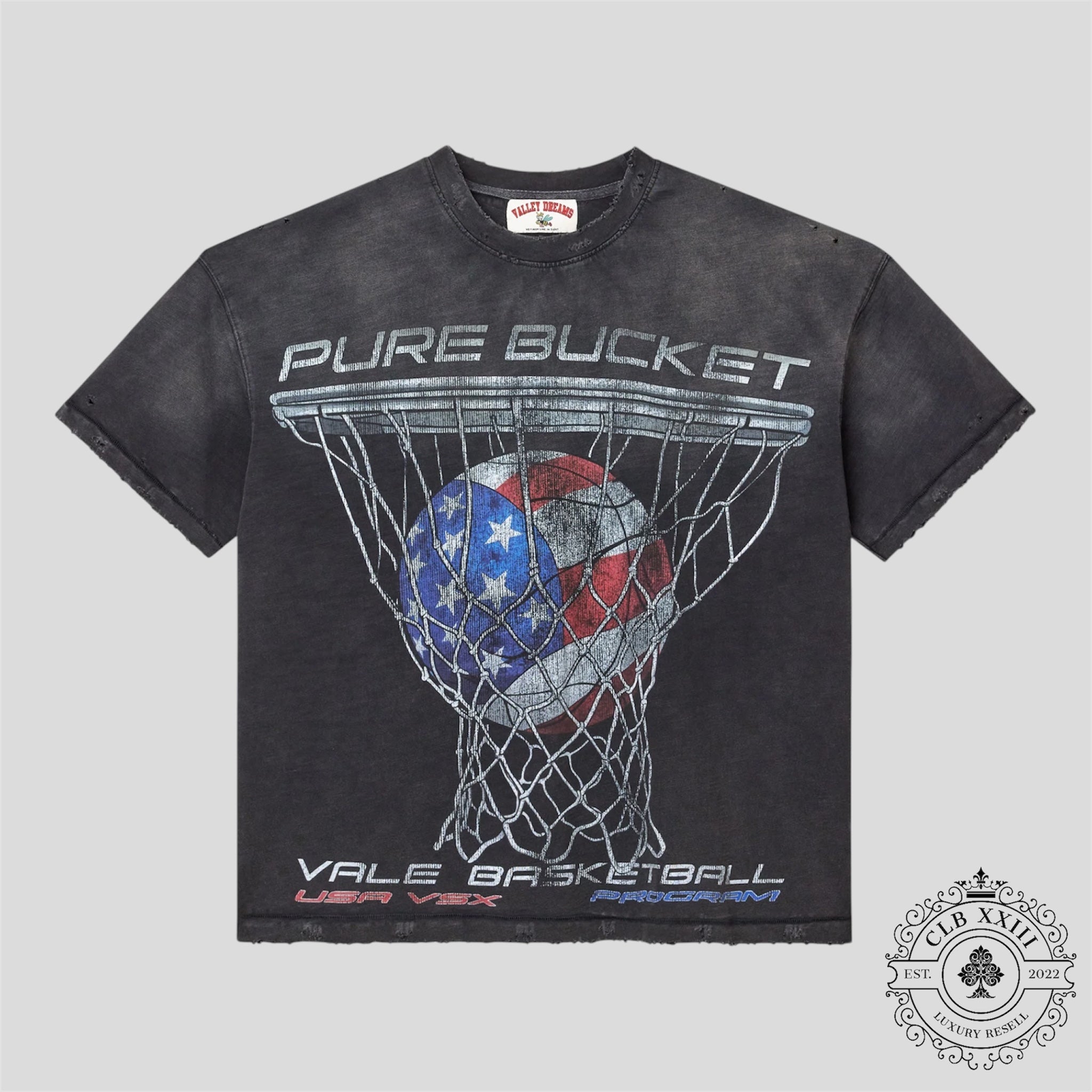 Vale Forever Pure Bucket Tee in Washed Black