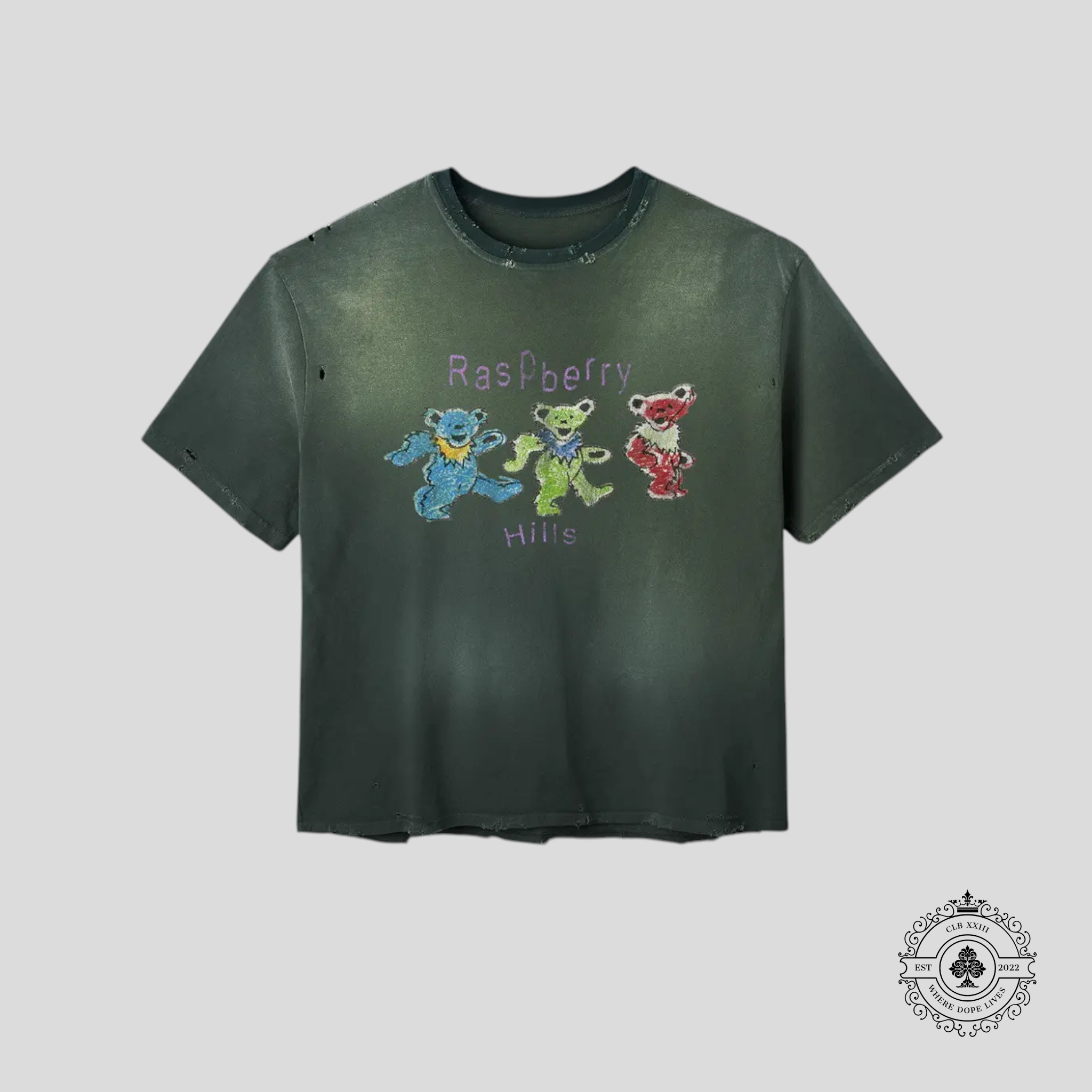 GV Gallery Raspberry Hills Greatful Dead Tee in Green