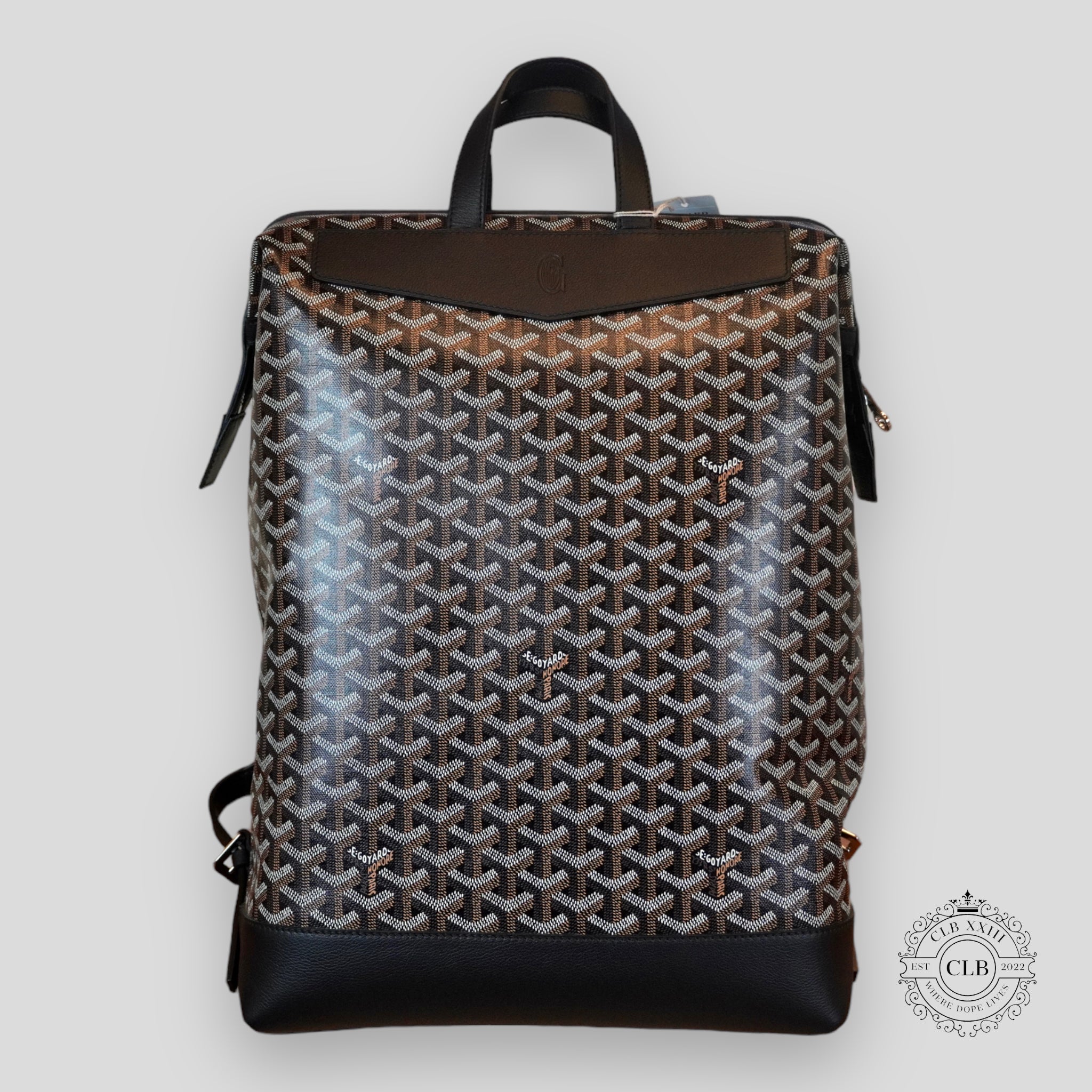 GOYARD CISALPIN BACKPACK - BLACK