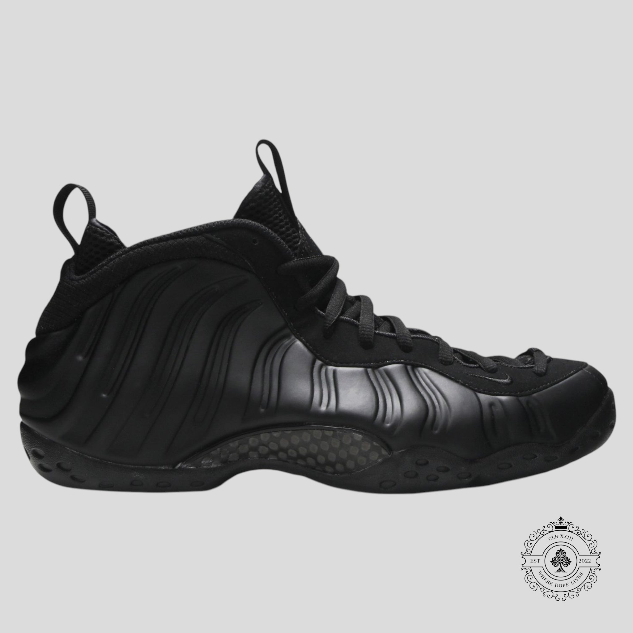 Nike Air Foamposite One Anthracite (2020)