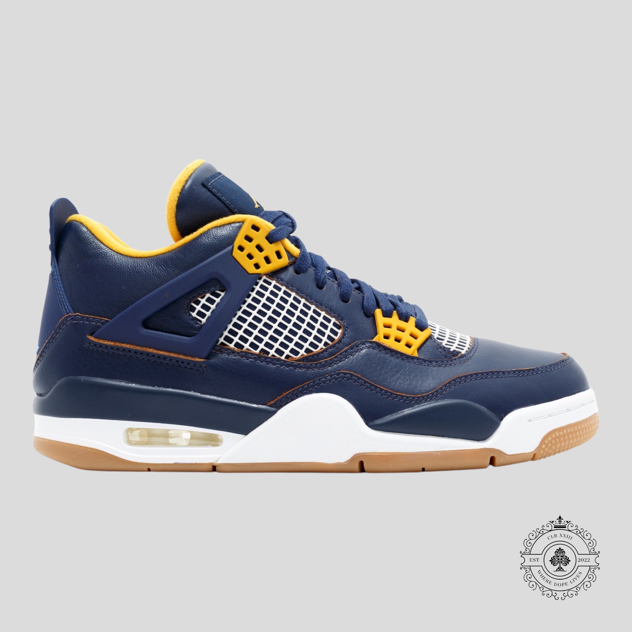 Air Jordan 4 Retro Dunk From Above