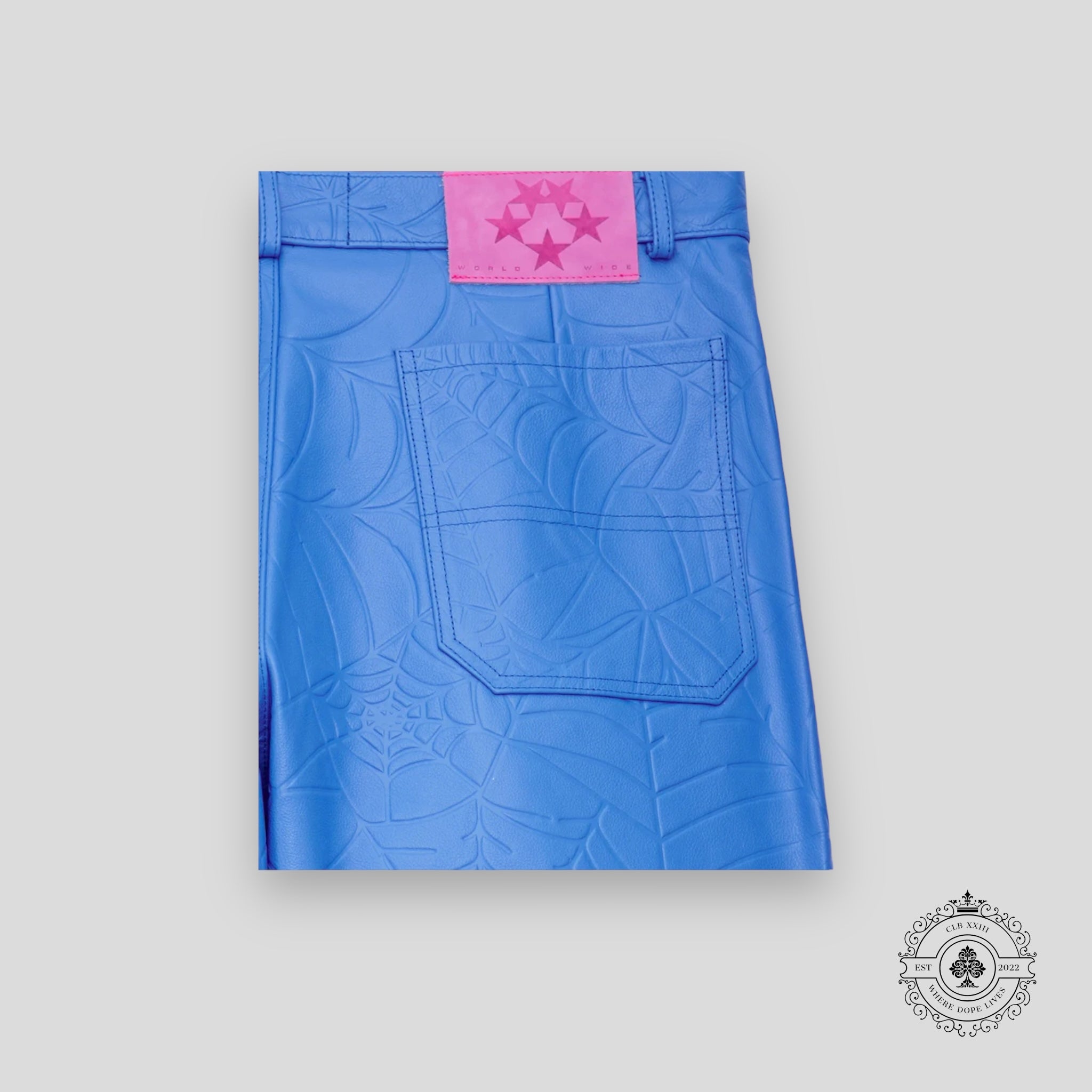 Sp5der Debossed Web Leather Pants in Blue