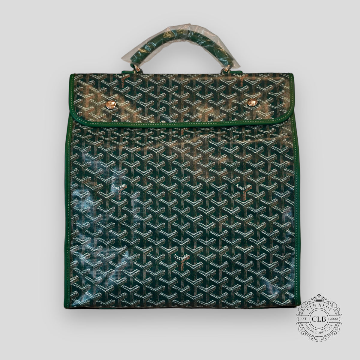 GOYARD SAINT LEGAR BACKPACK - GREEN