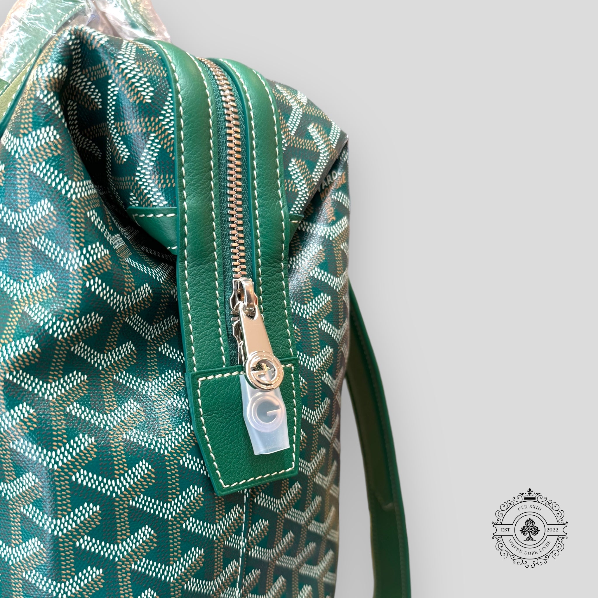 Goyard Cisalpin MM Backpack in Green