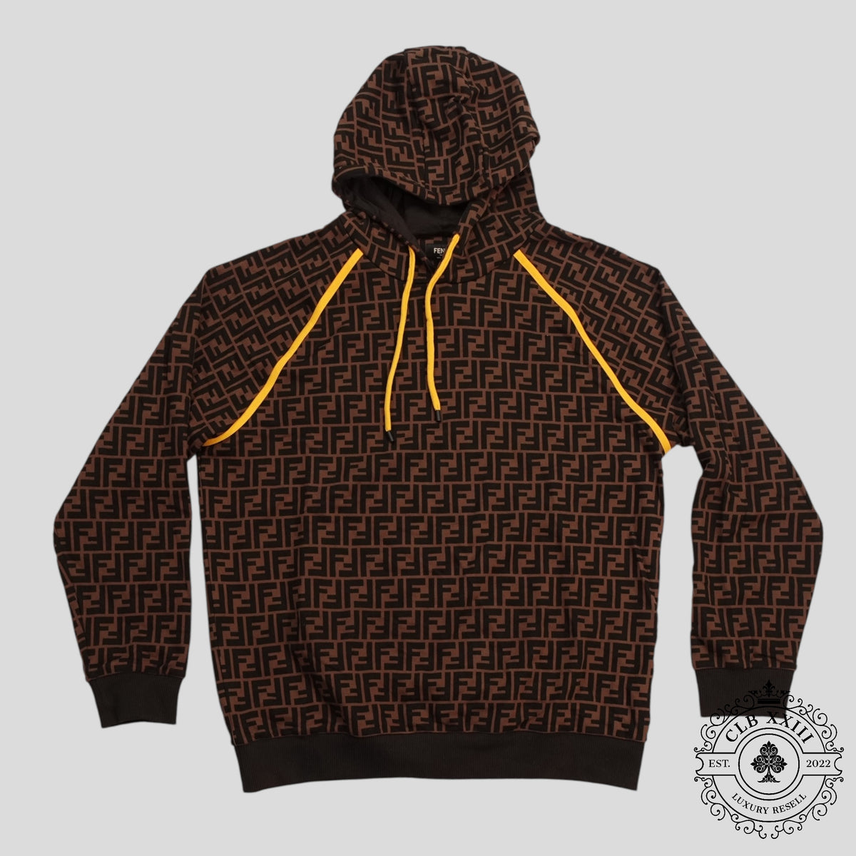Fendi FF Hoodie in Brown