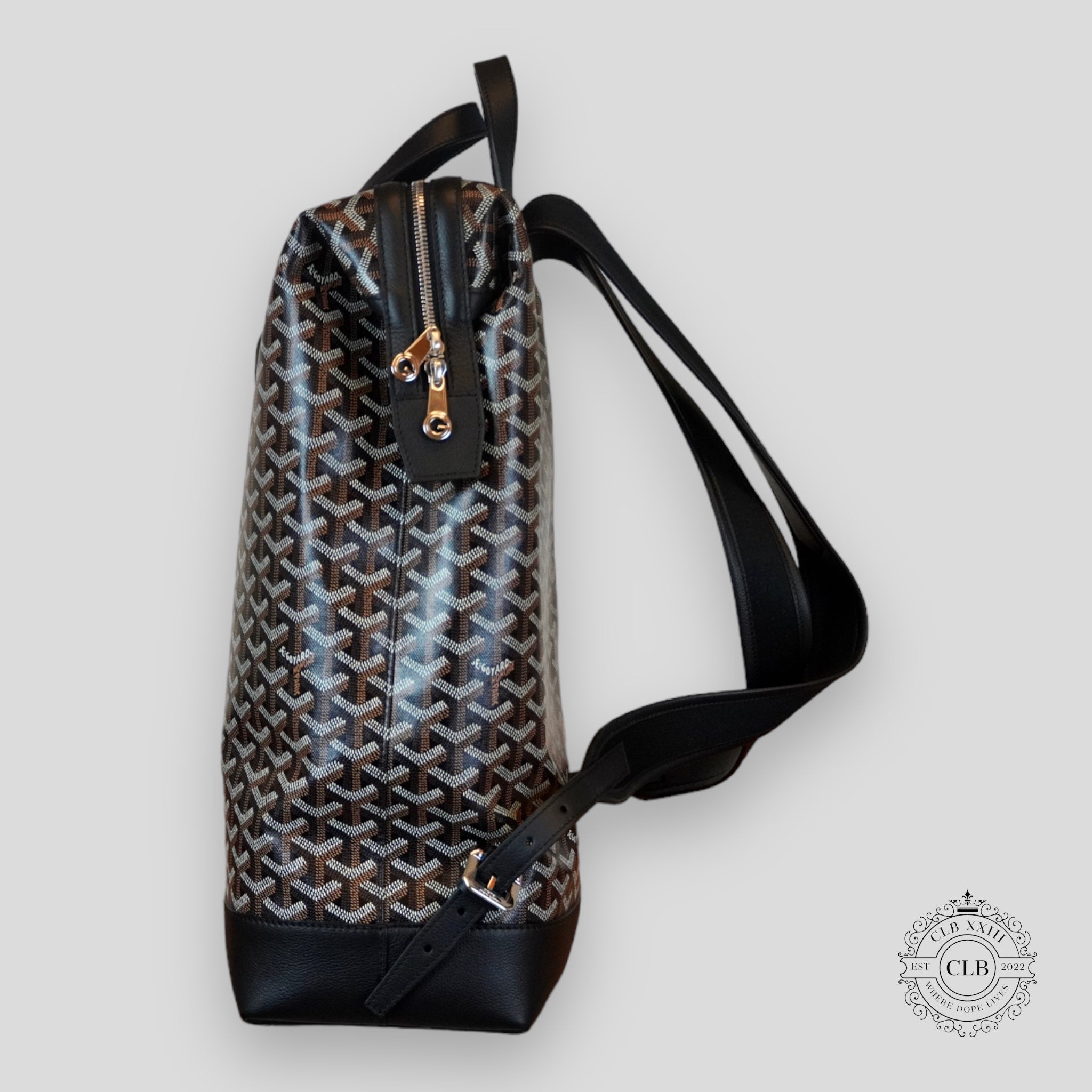 GOYARD CISALPIN BACKPACK - BLACK