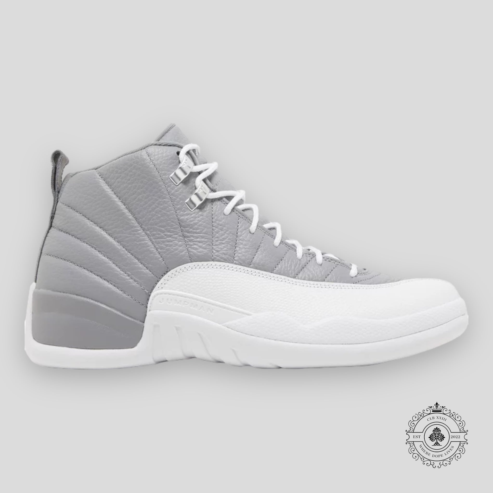 Air Jordan 12 Retro Stealth