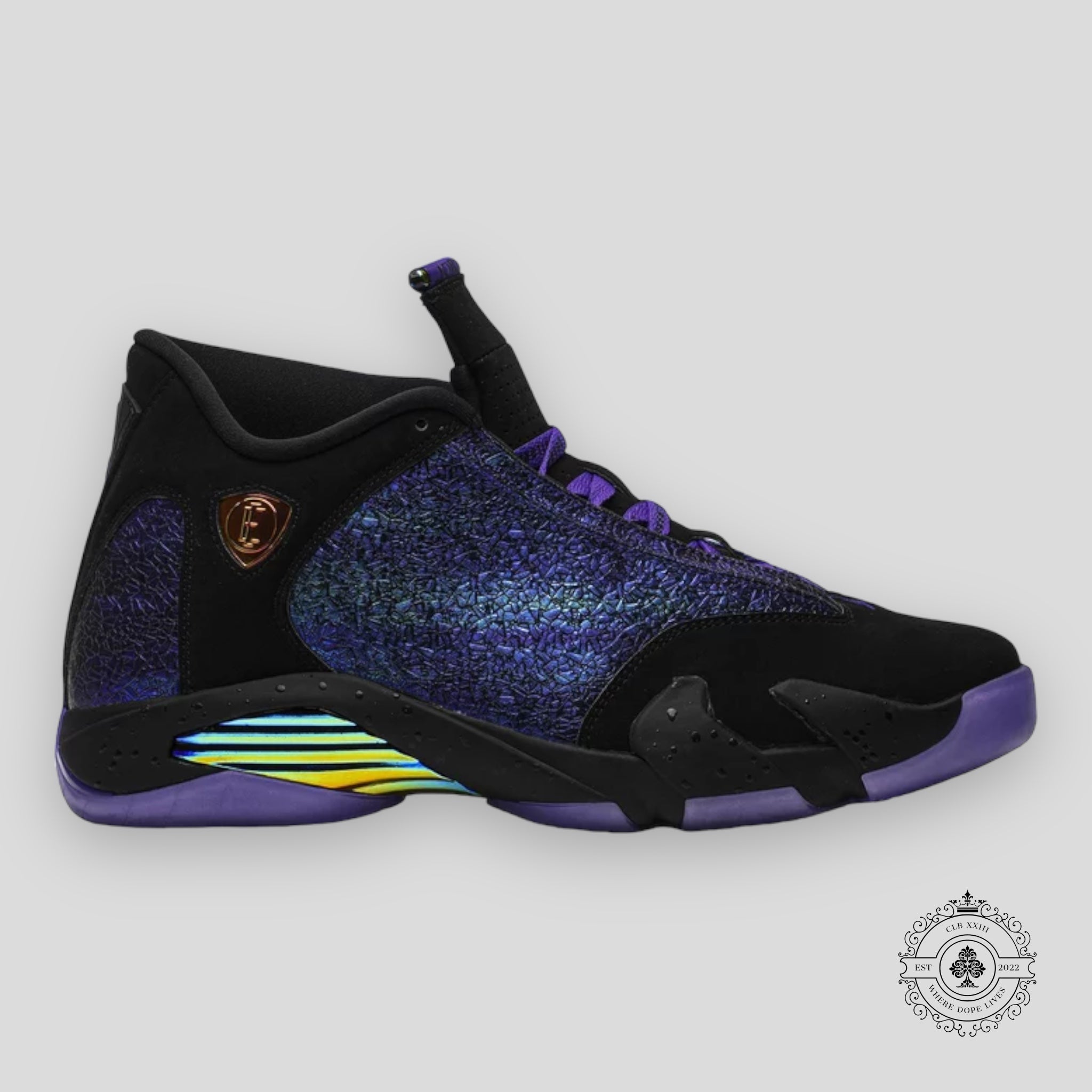Air Jordan 14 Retro Doernbecher