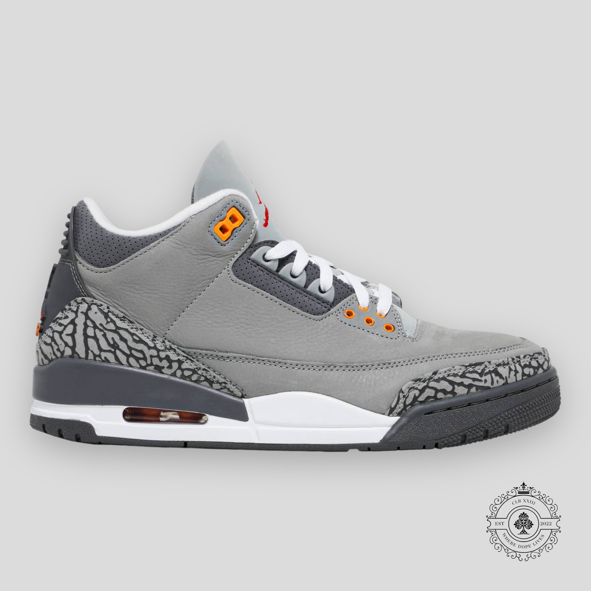 Air Jordan 3 Retro Cool Grey