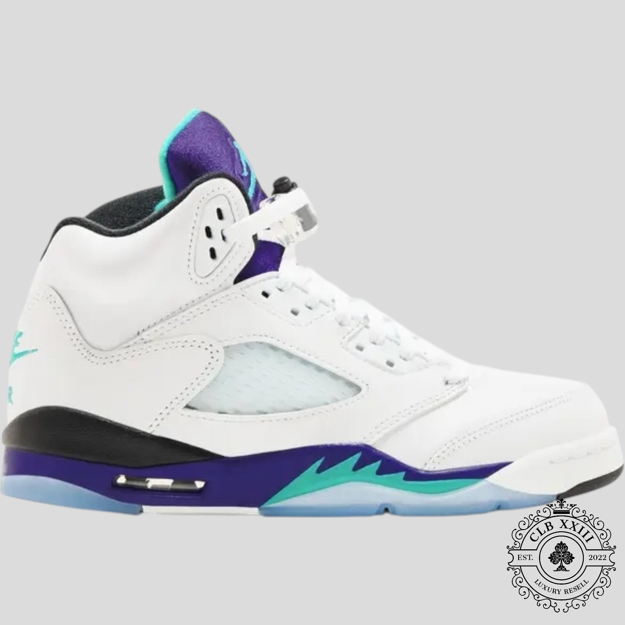 Air Jordan 5 Retro Grape (2025) (GS)