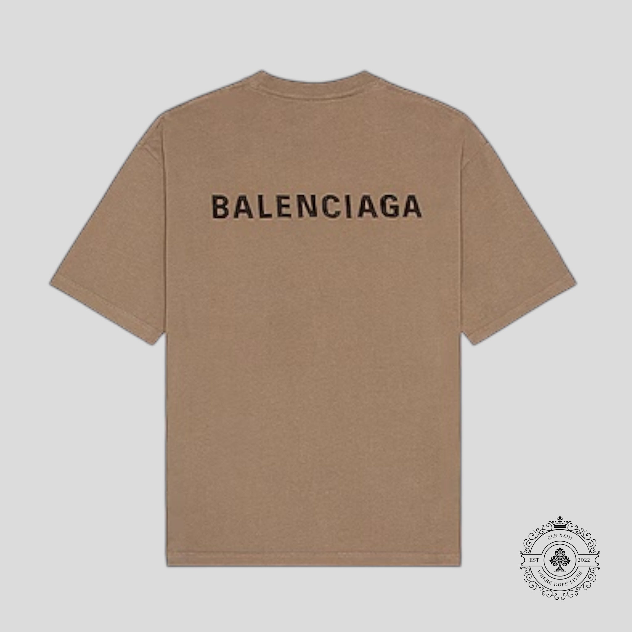 Balenciaga Printed T-Shirt in Light Brown