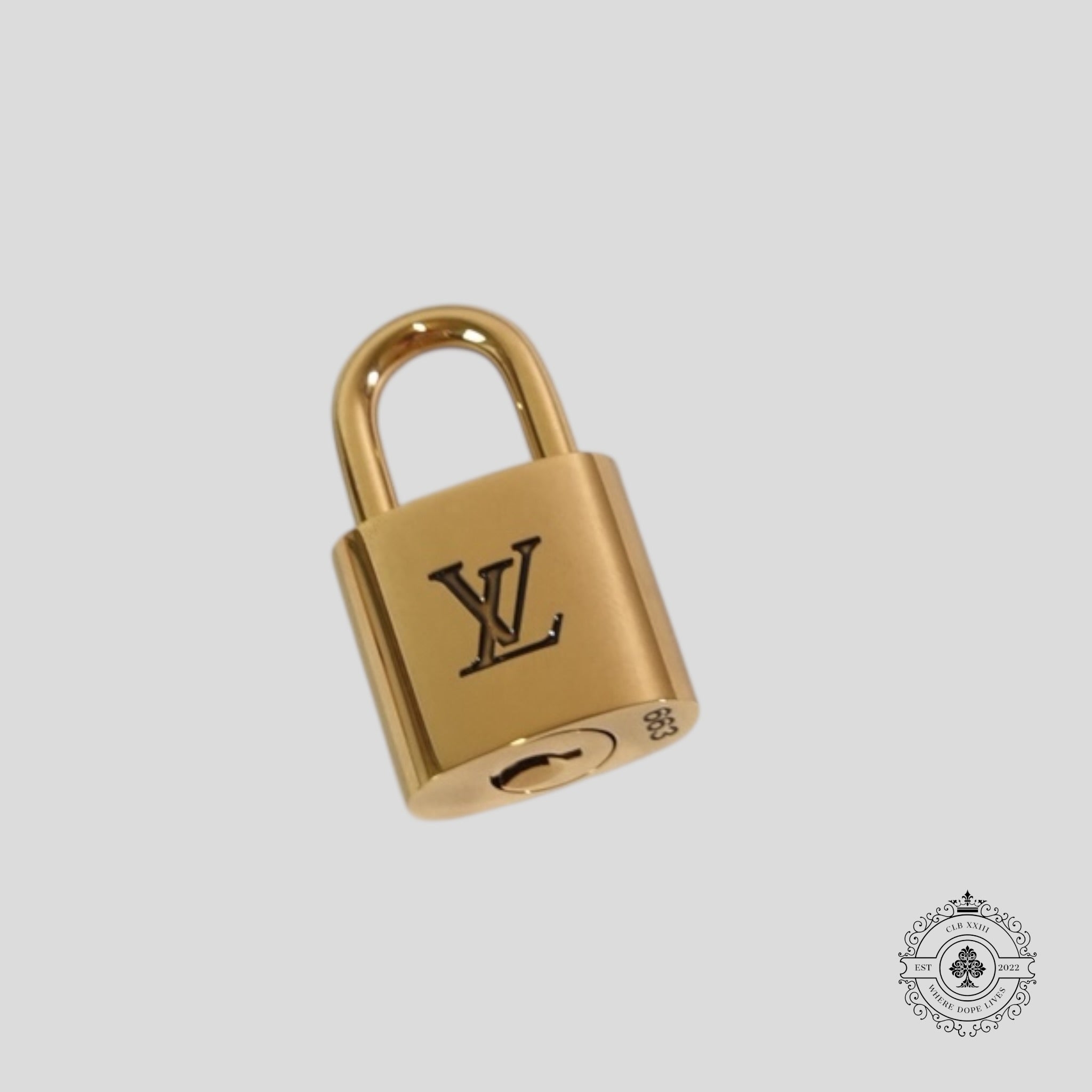 Louis Vuitton Speedy P9 Bandoulière 40 in Turquoise