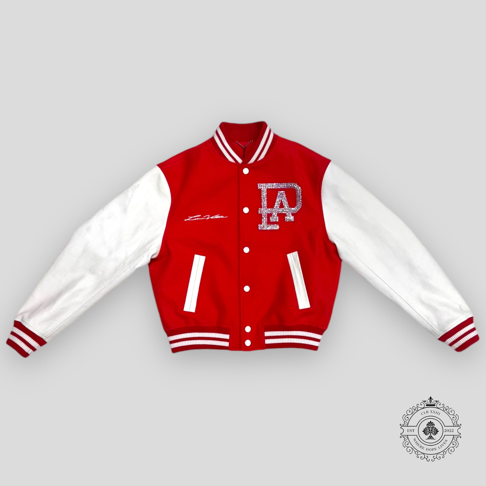 Louis Vuitton Mix Leather Varsity Blouson