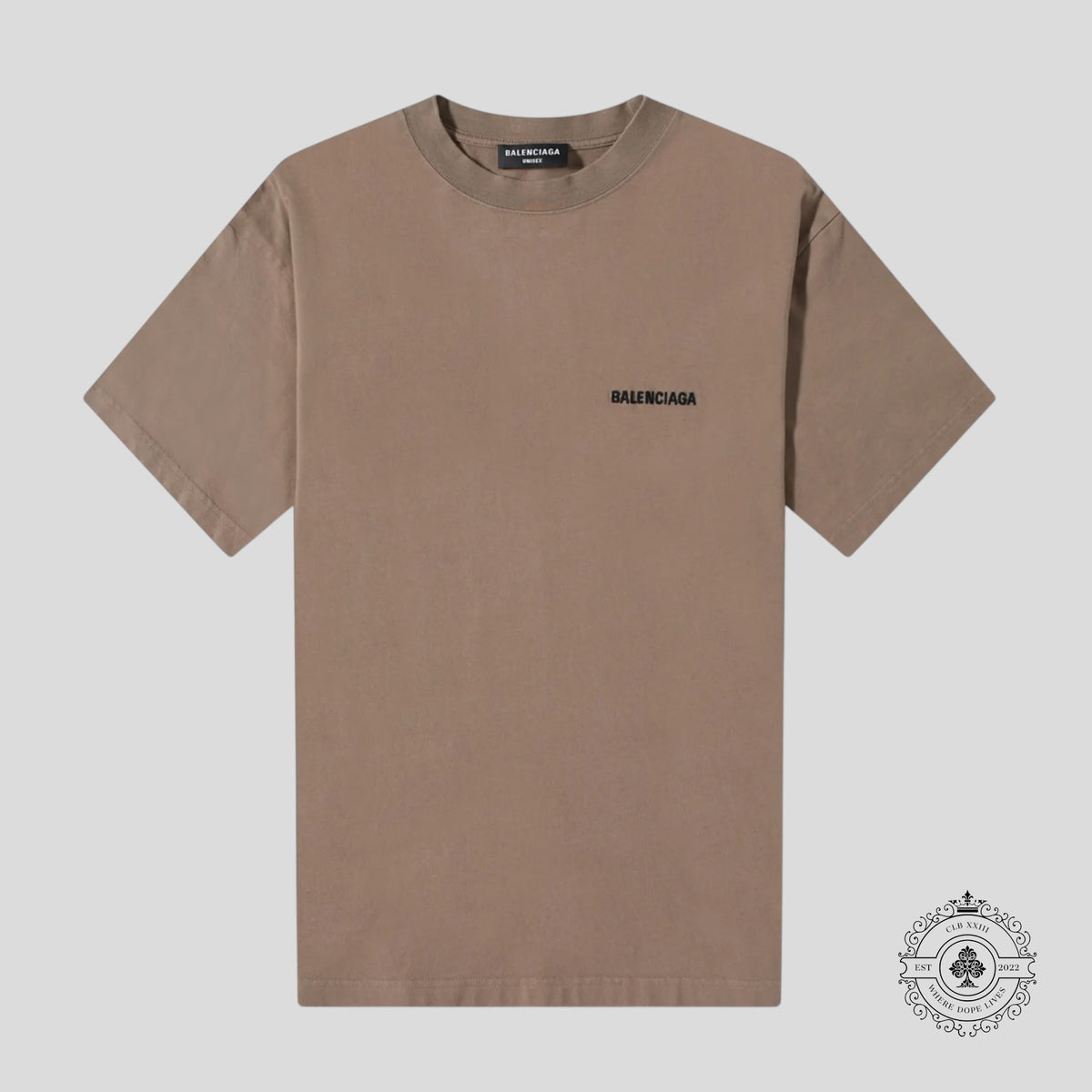 Balenciaga Embroidered T-Shirt in Light Brown