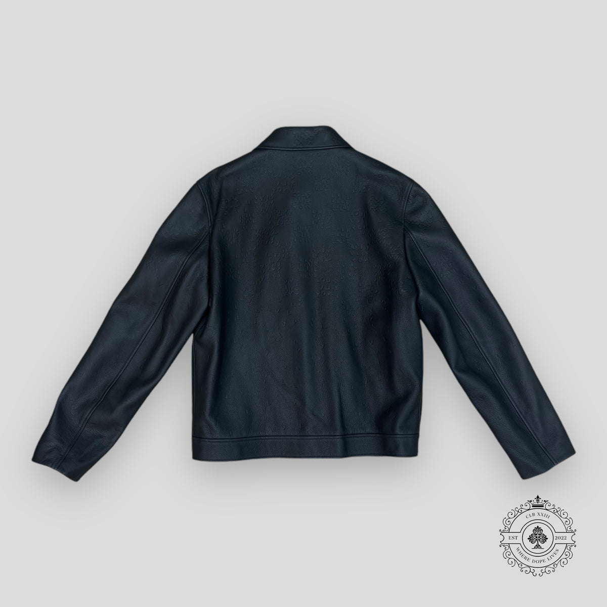 Louis Vuitton Damier Spread Leather Blouson