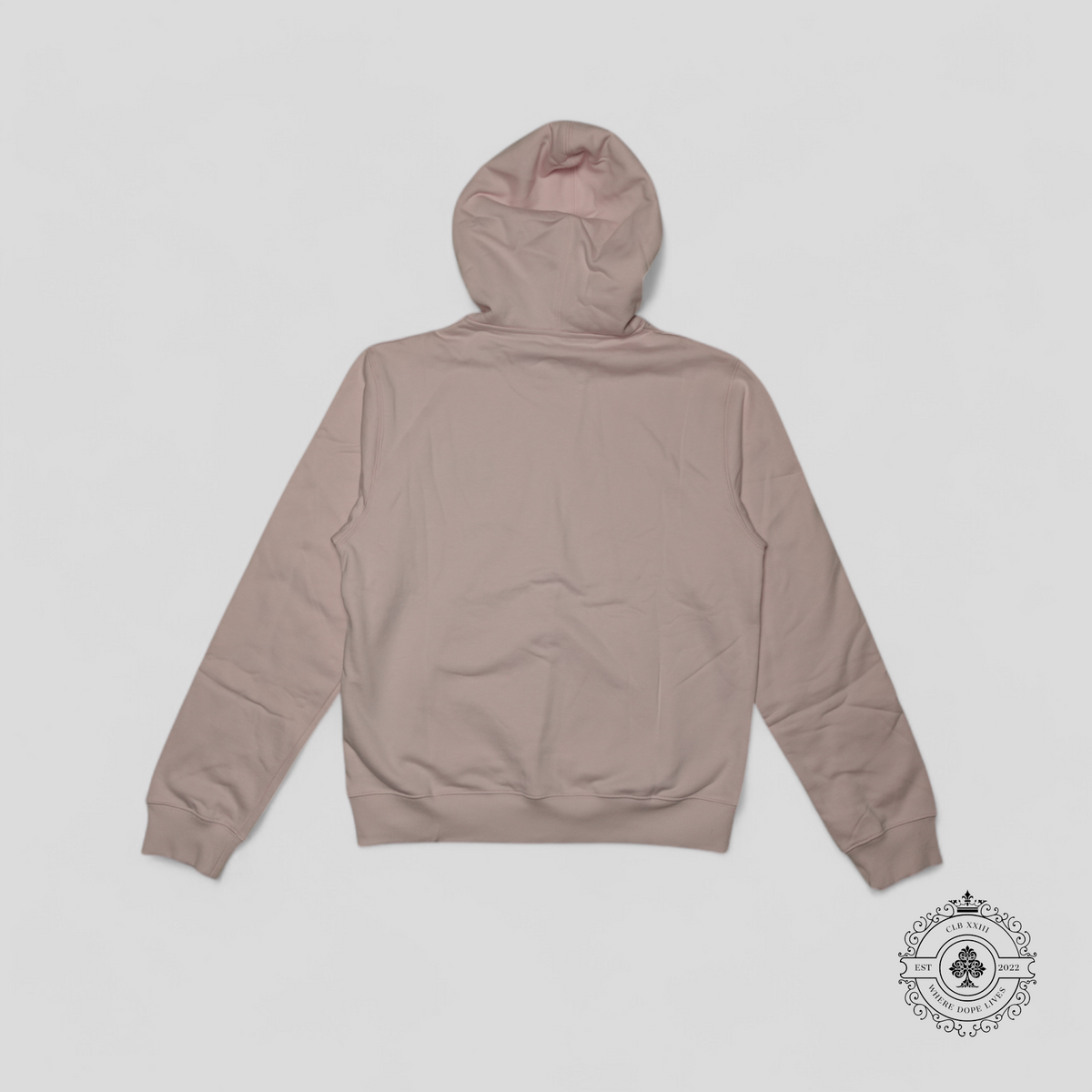 Dior CD Icon Hooded Sweatshirt in Pink