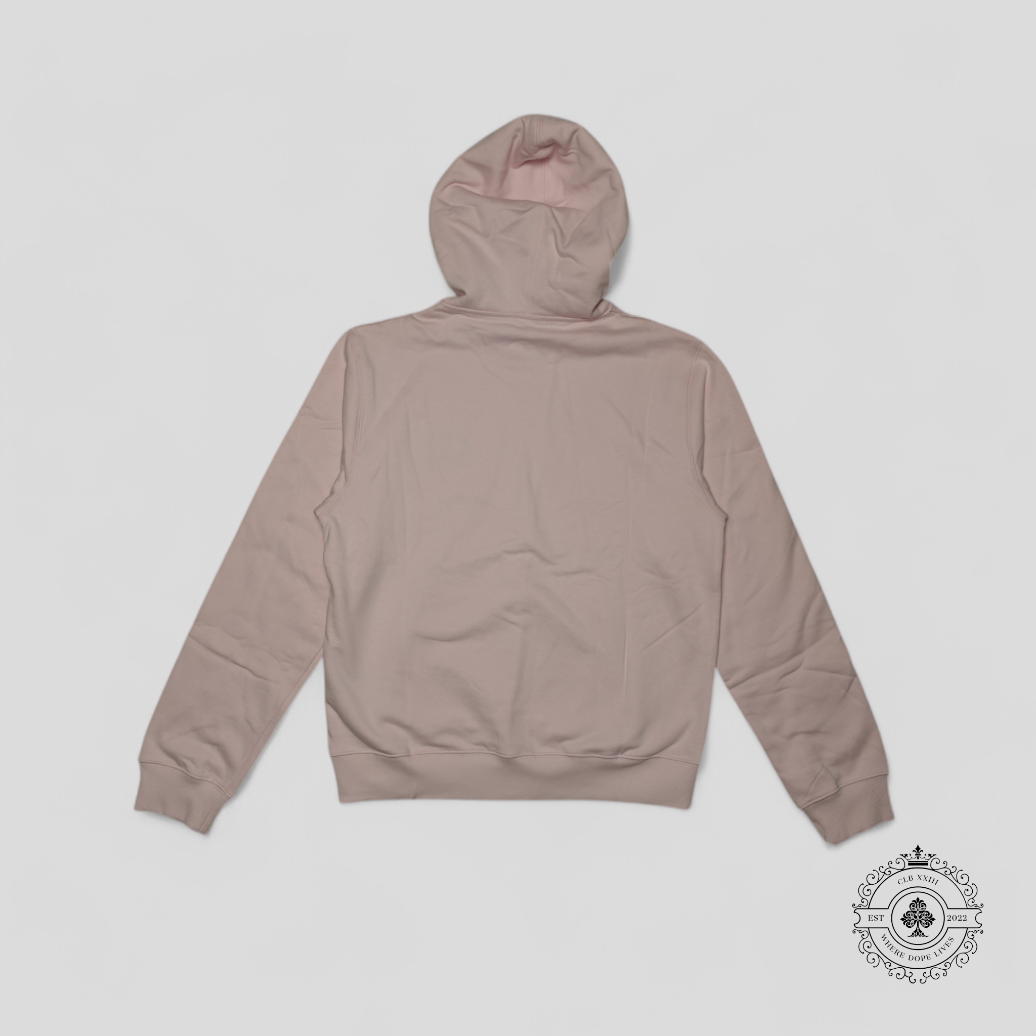 Dior CD Icon Hooded Sweatshirt in Pink