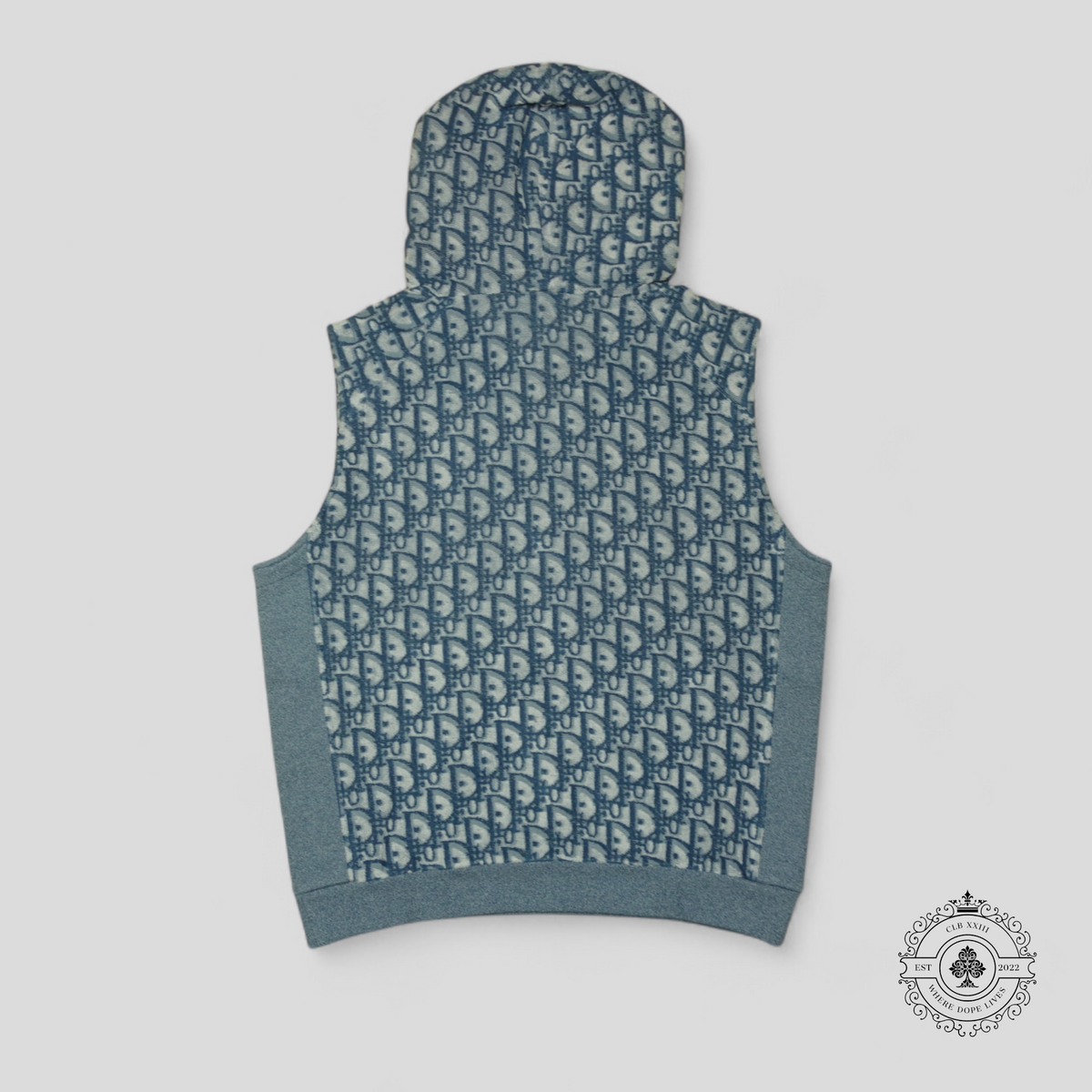 Dior Oblique Terrycloth Sleeveless Hoodie in Blue/White