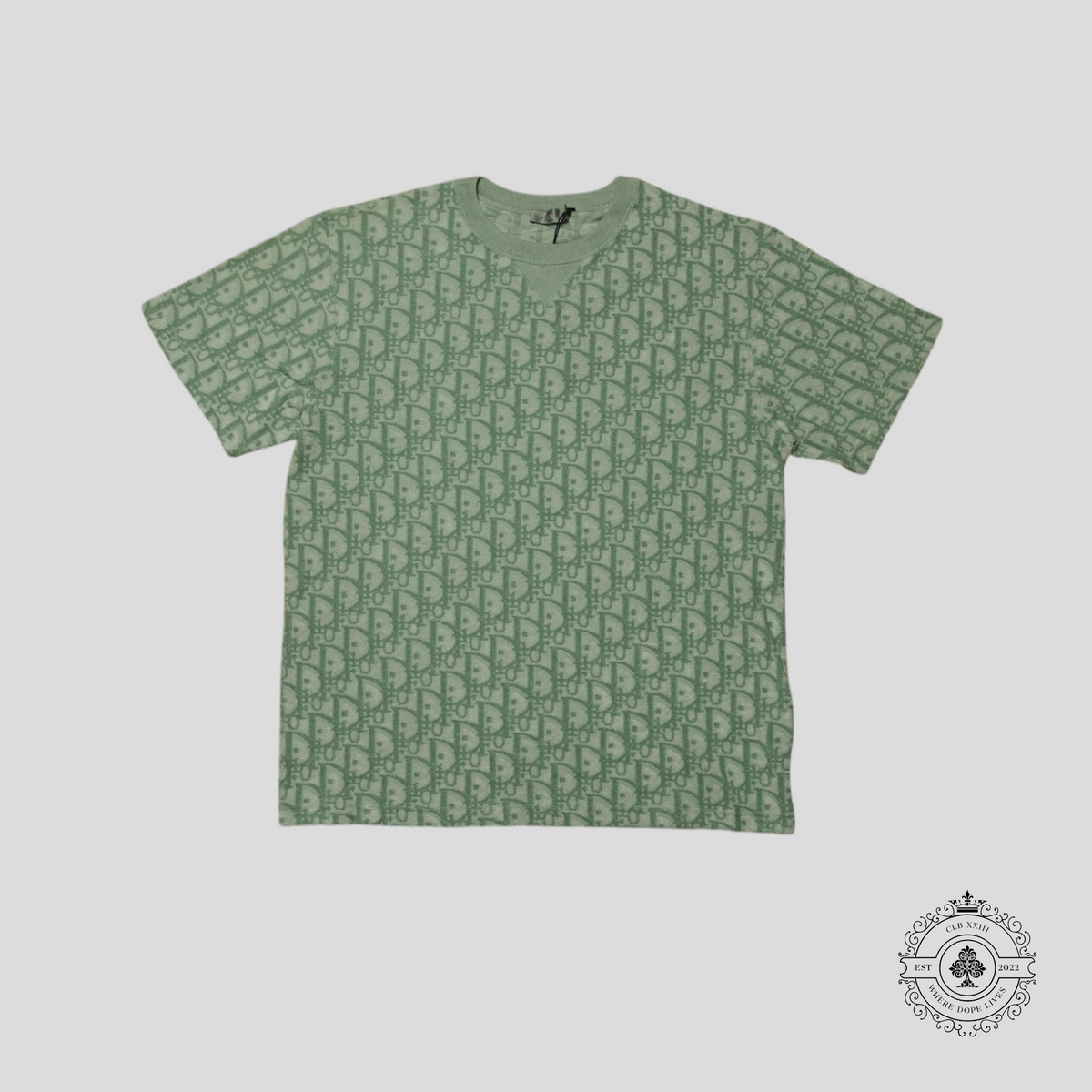 Dior Oblique Terrycloth T-Shirt in Green/White