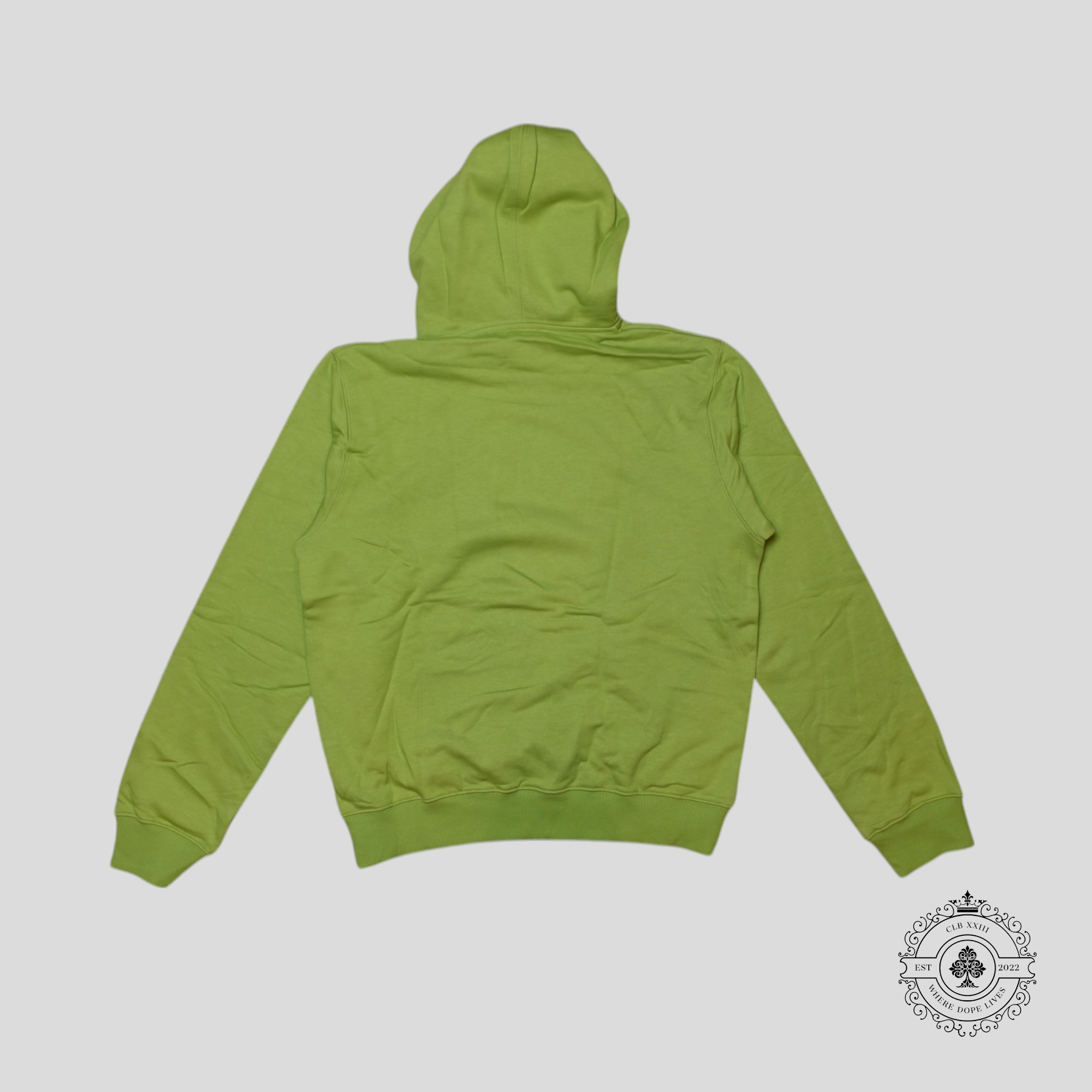 Dior CD Icon Hoodie in Olive Green