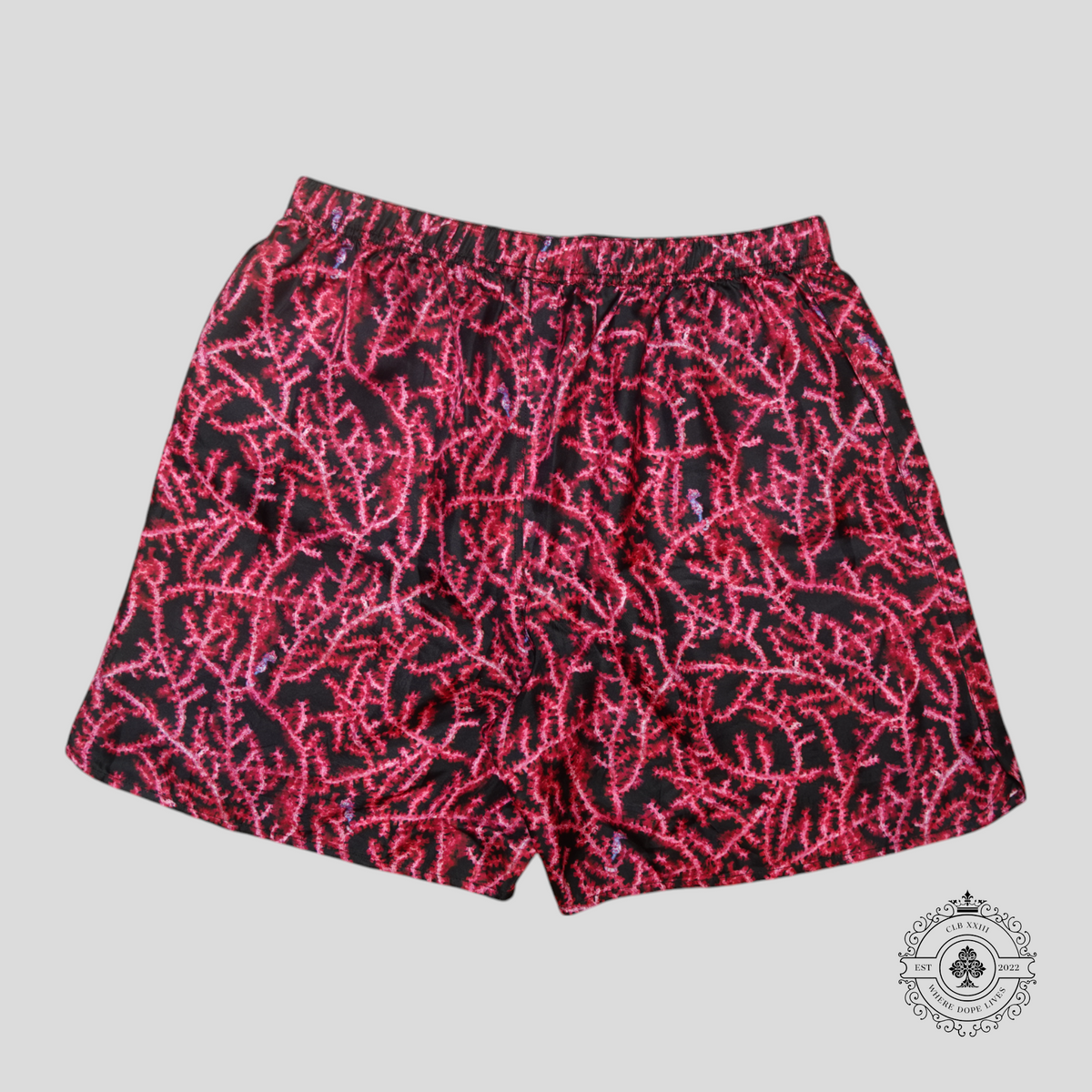 Dior Italic Logo Coral Motif Silk Shorts in Red/Black