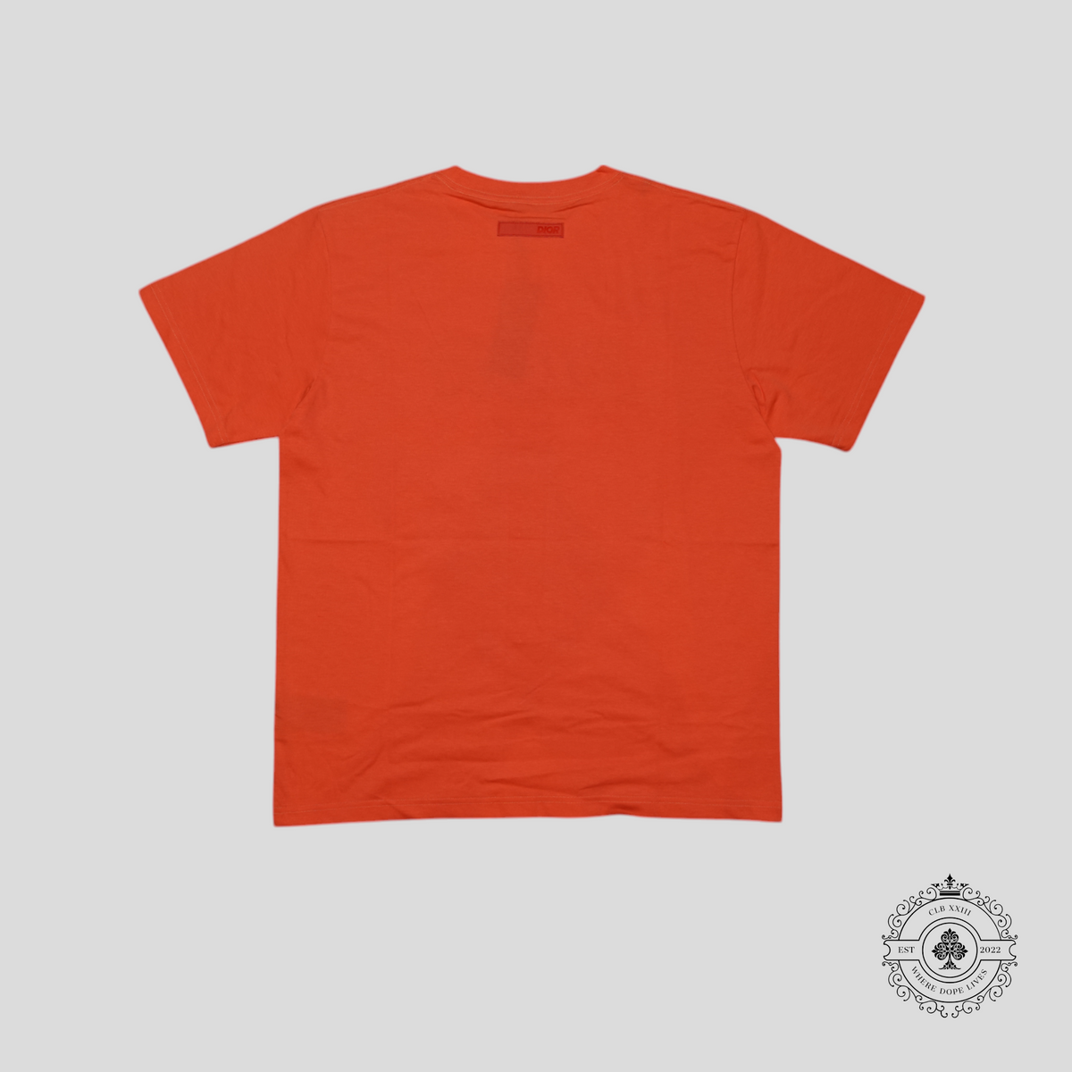 Dior Embroidered Italic Logo T-Shirt in Orange