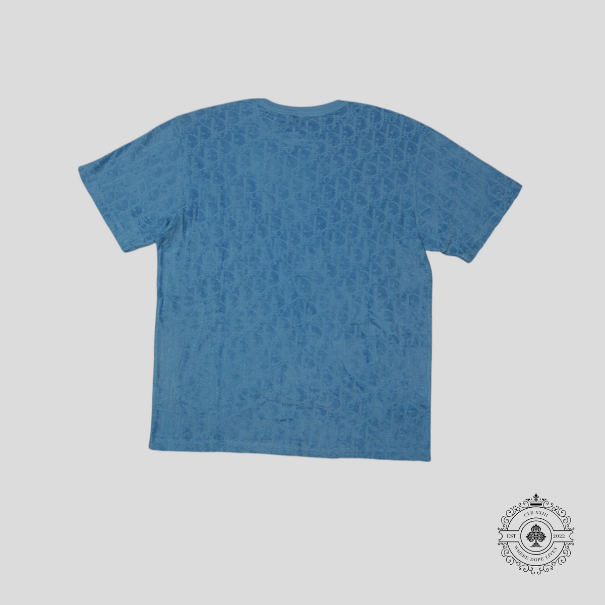 Dior Oblique Terrycloth T-Shirt in Blue