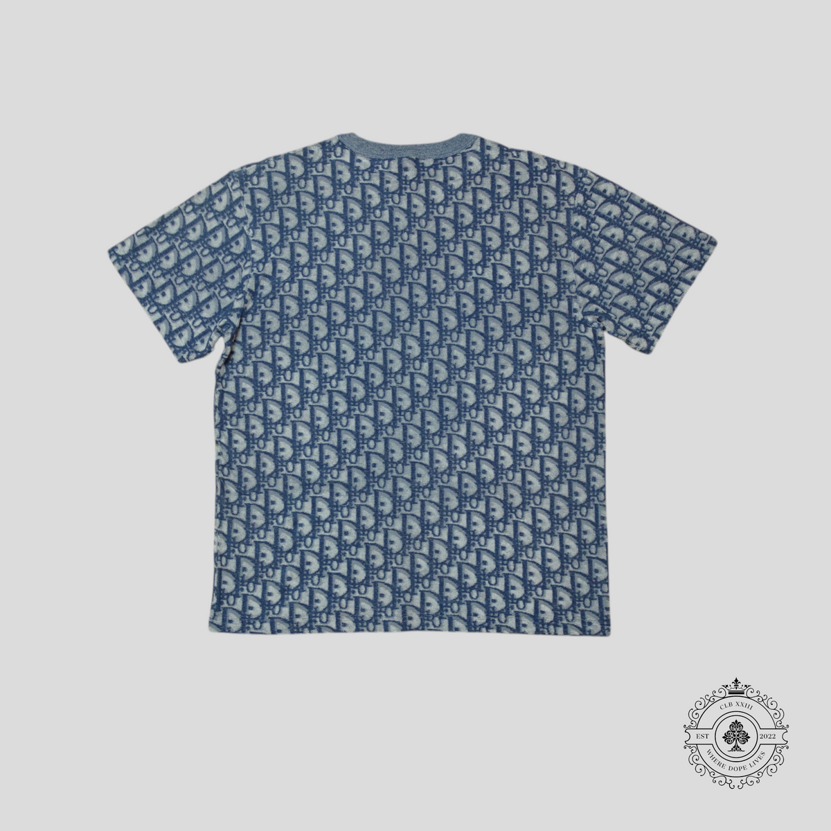 Dior Oblique Terrycloth T-Shirt in Blue/White