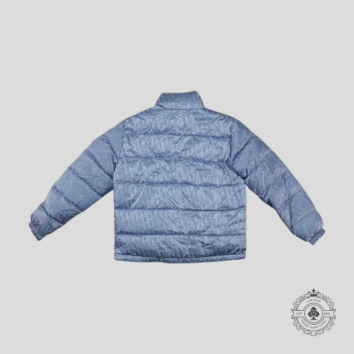Dior Oblique Goose Down Puffer Jacket in Light Blue