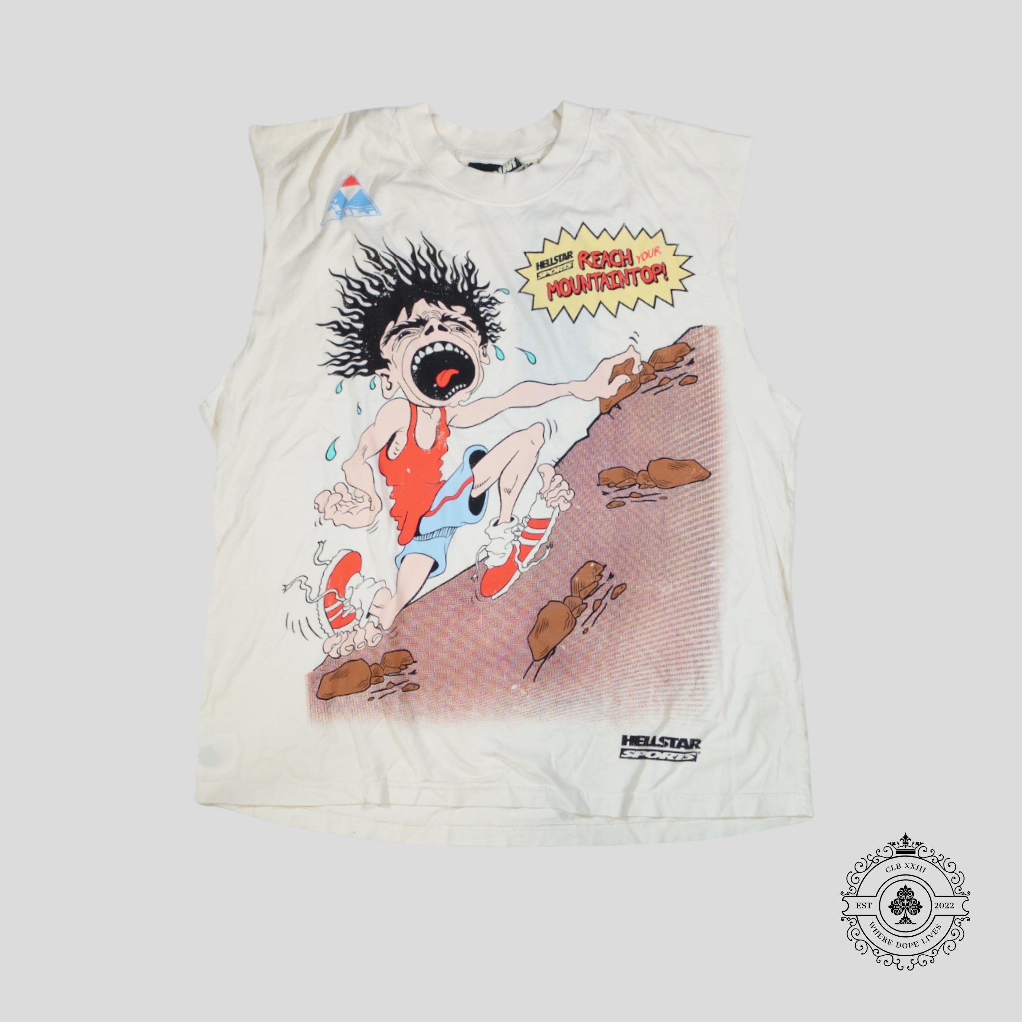 Hellstar Reach Your Mountaintop Cutoff Tee in White