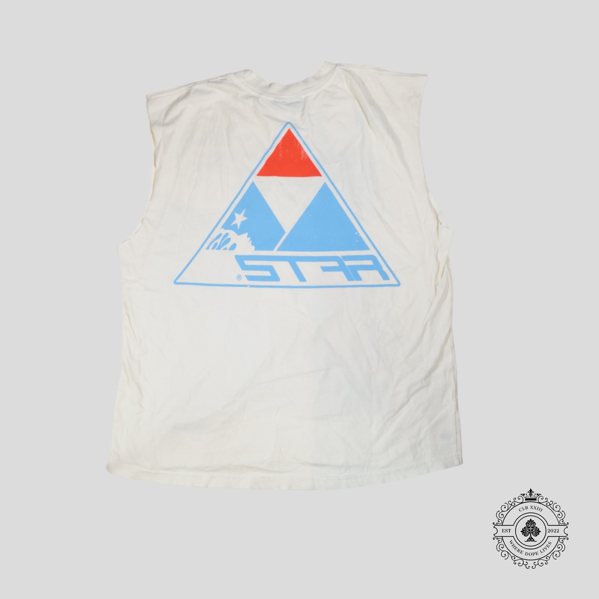 Hellstar Reach Your Mountaintop Cutoff Tee in White