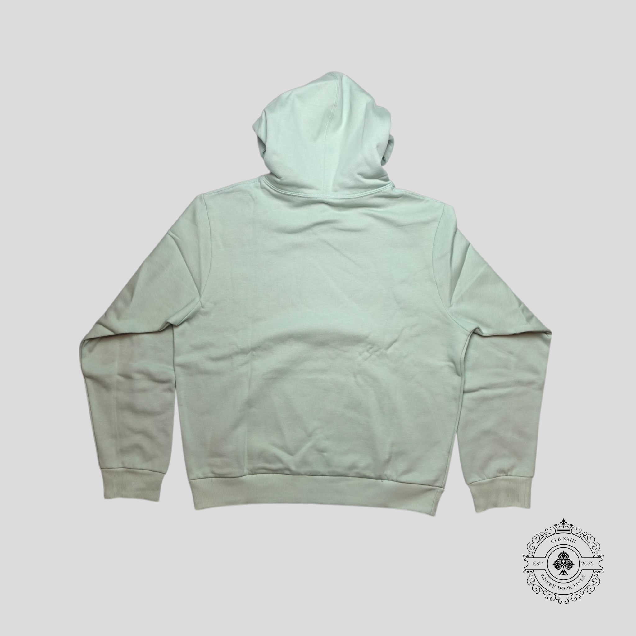 Dior CD Diamond Hoodie in Mint Green