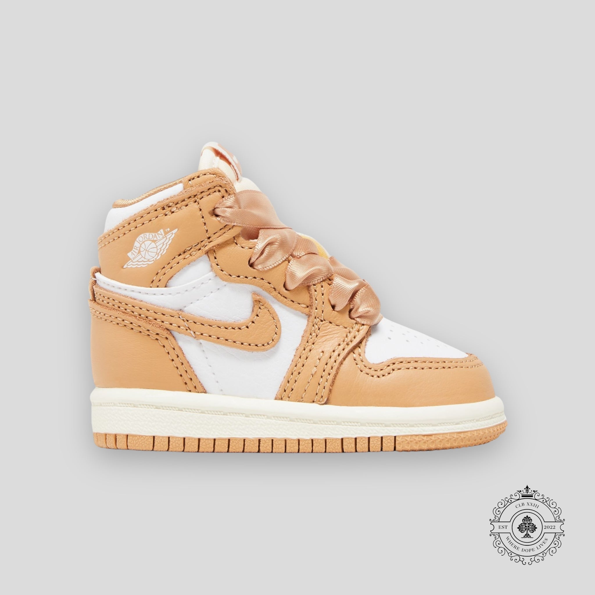 Air Jordan 1 Retro High OG TD Praline