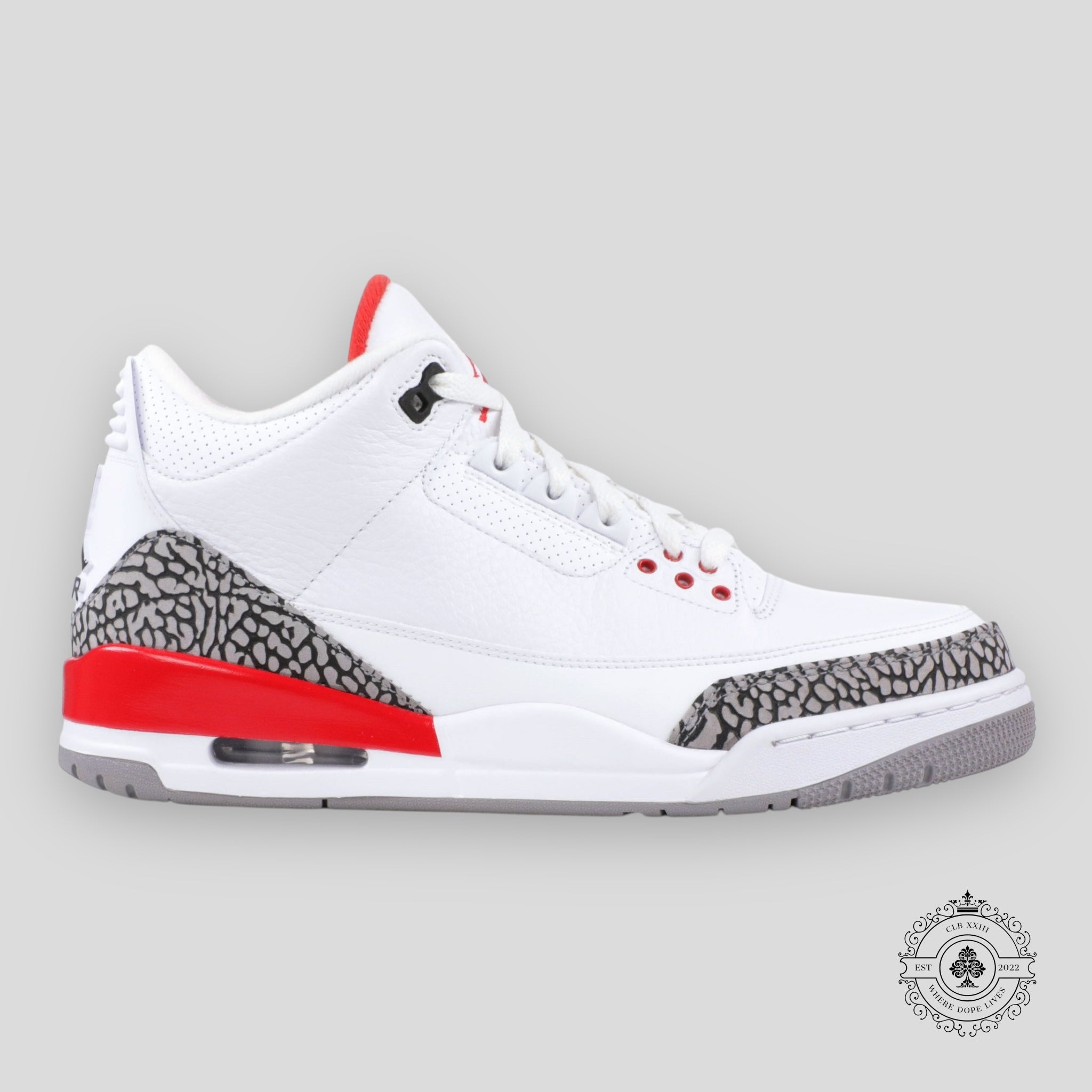Air Jordan 3 Retro Hall of Fame