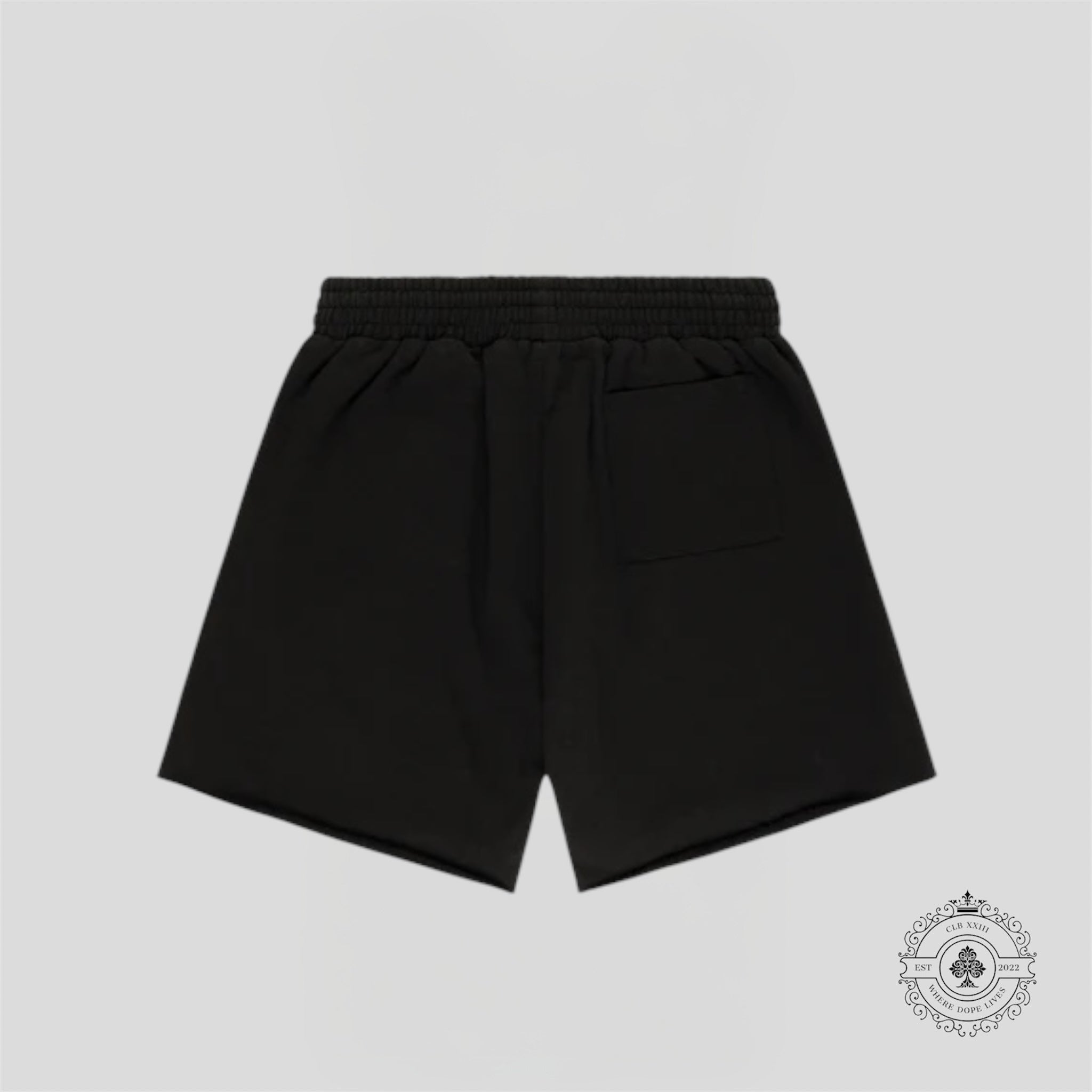 Sp5der OG Web V2 Phantom Shorts in Black