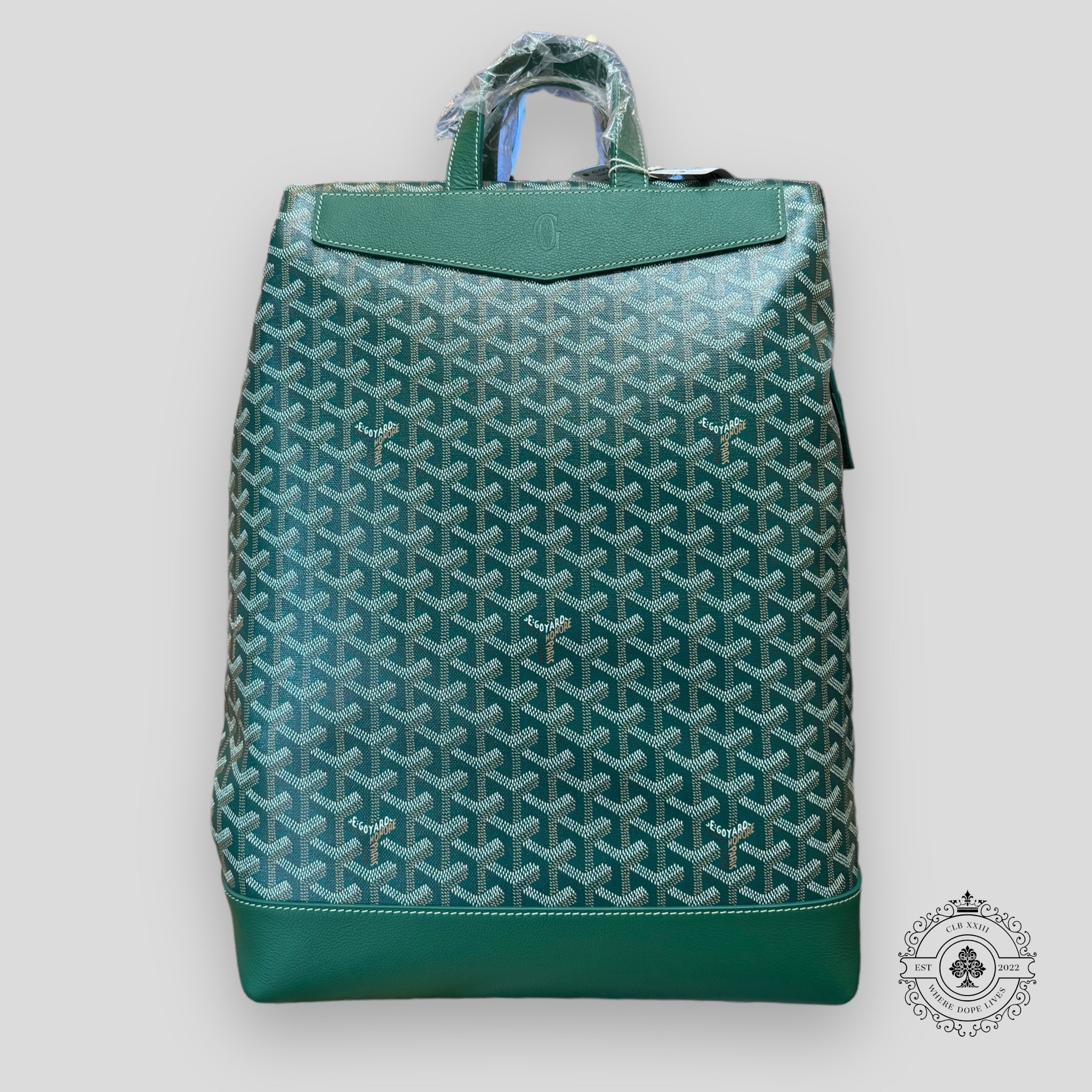 Goyard Cisalpin MM Backpack in Green