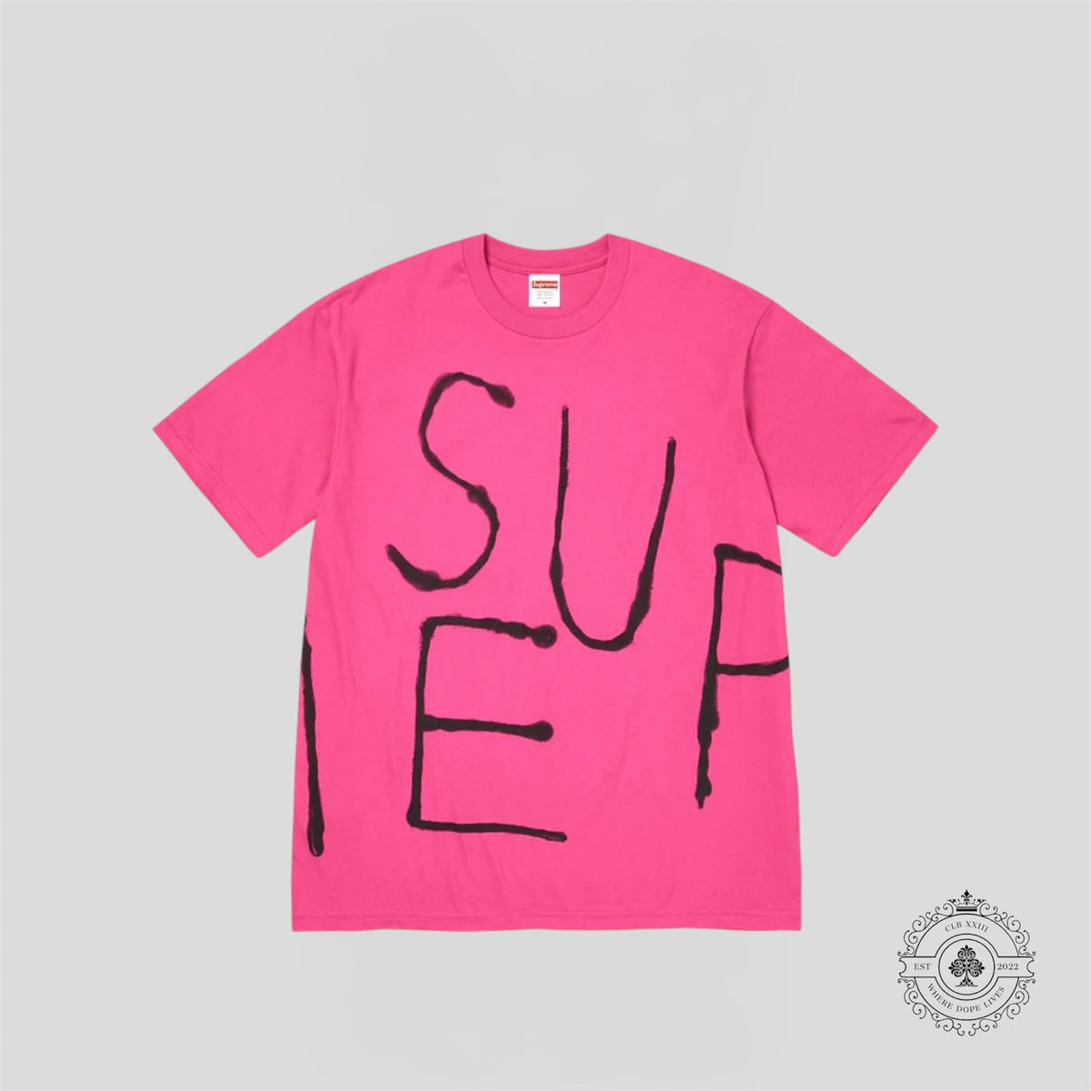 Supreme Painted T-Shirt in Pink