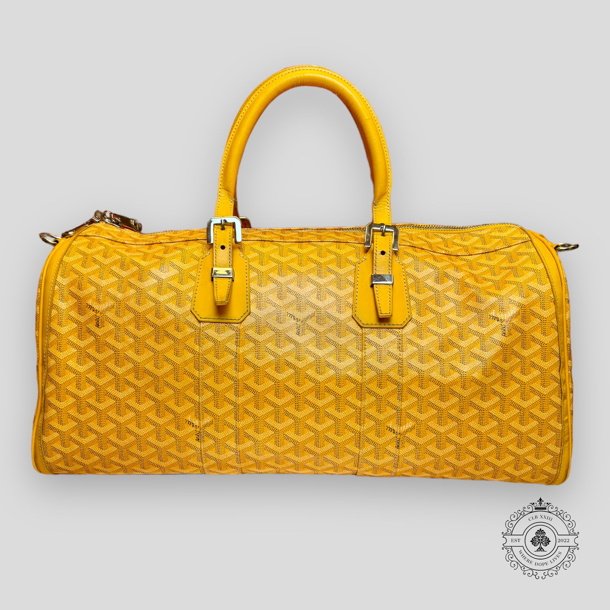 Goyard Croisiere 45 Travel Bag in Yellow
