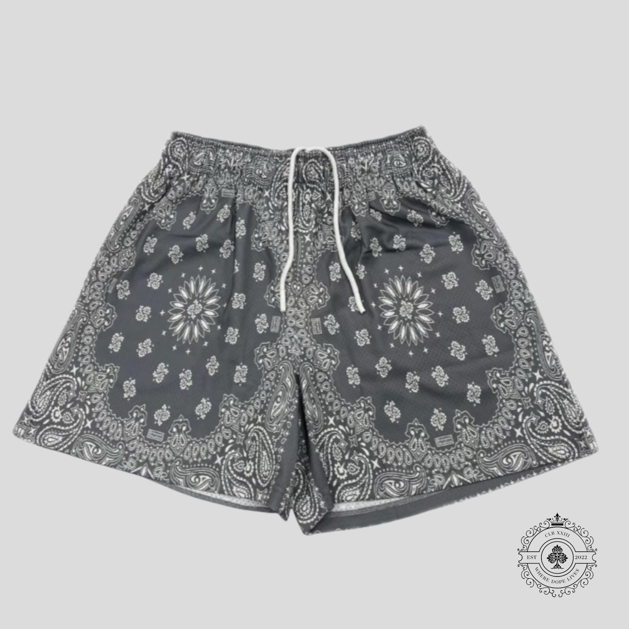 Bravest Studios Grey Paisley Shorts