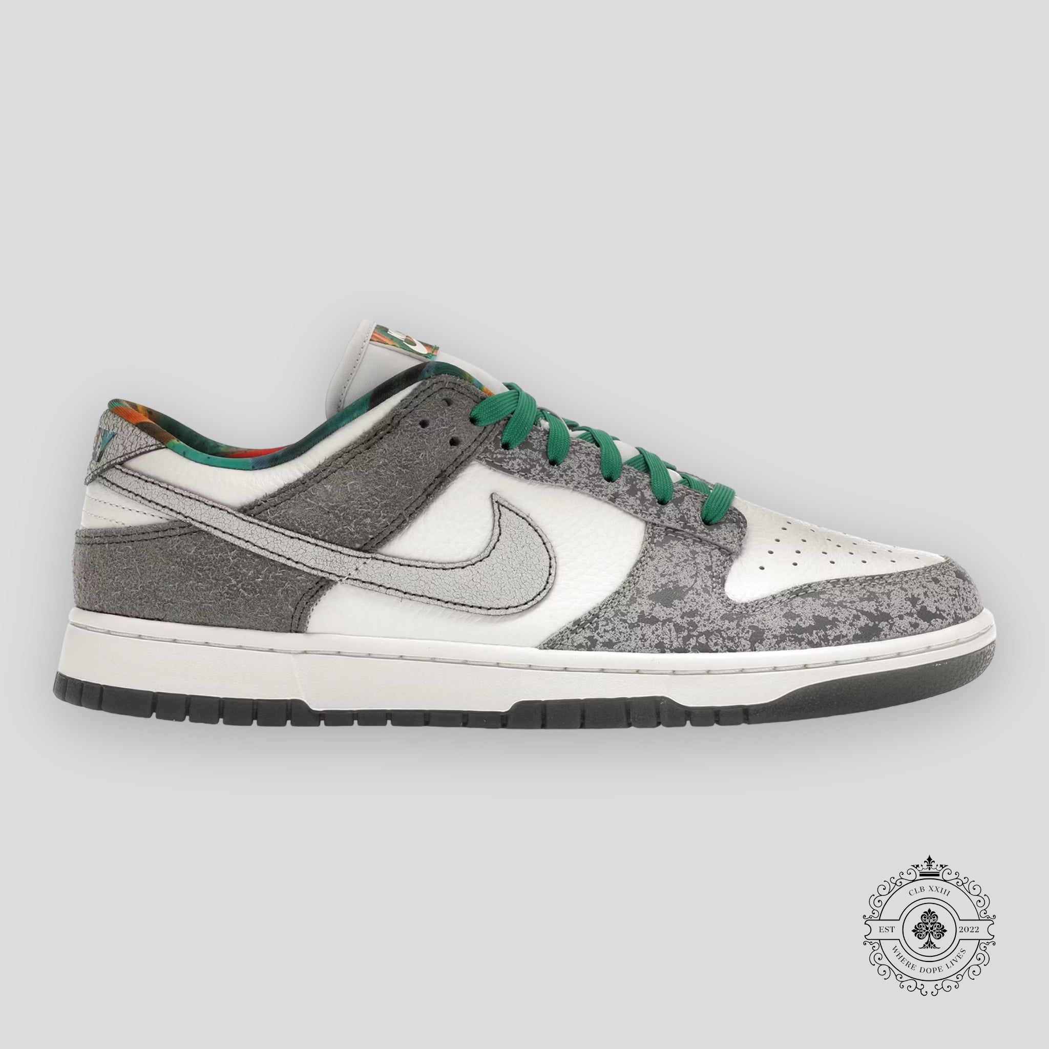 Nike Dunk Low Premium Philly